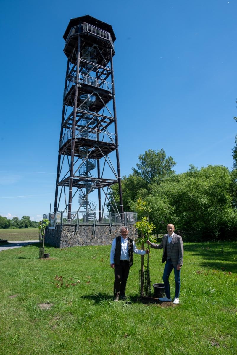 Zdjęcie w galerii na portalu naszraciborz.pl: Wspólne Drzewo – Wspólna Przyszłość: Zielona Akcja Gminy Krzyżanowice, Meander Banku i Szkoły w Tworkowie wiadomości z regionu