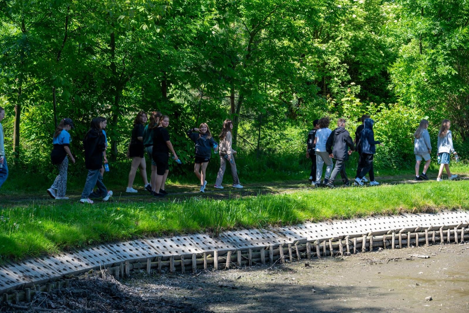 Zdjęcie w galerii na portalu naszraciborz.pl: Wspólne Drzewo – Wspólna Przyszłość: Zielona Akcja Gminy Krzyżanowice, Meander Banku i Szkoły w Tworkowie wiadomości z regionu