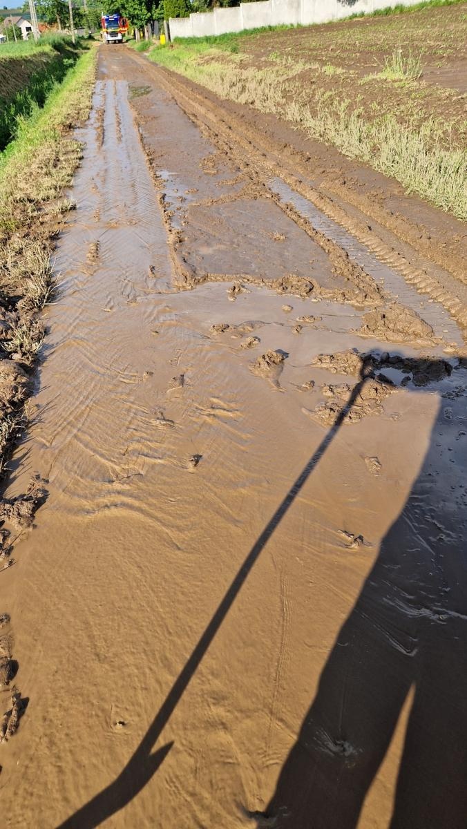 Zdjęcie w galerii na portalu naszraciborz.pl: Zabłocone jezdnie, powalone drzewo i alarm w supermarkecie [RAPORT 998] wiadomości z regionu