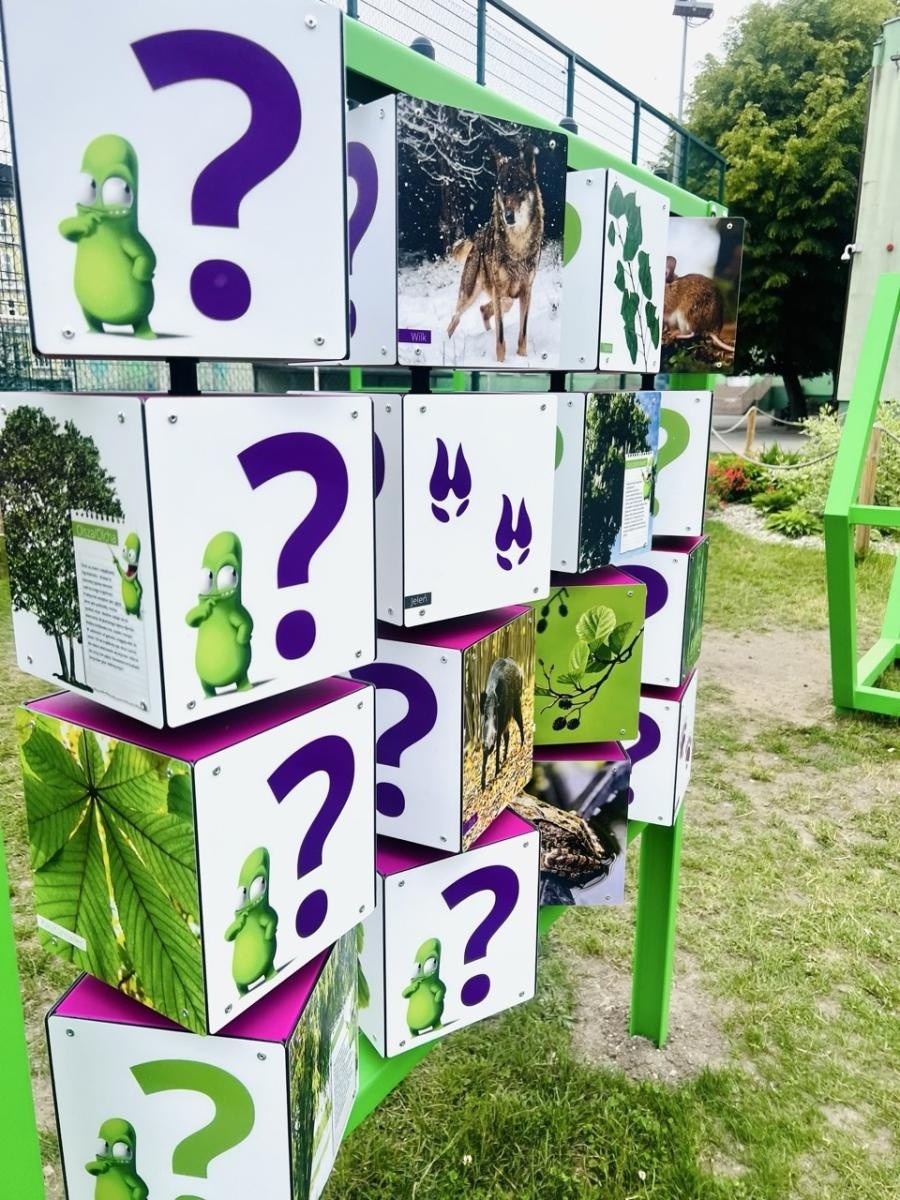 Zdjęcie w galerii na portalu naszraciborz.pl: Naukowy plac zabaw w SP 13 w Raciborzu rozwija kreatywność i ciekawość świata wiadomości z regionu