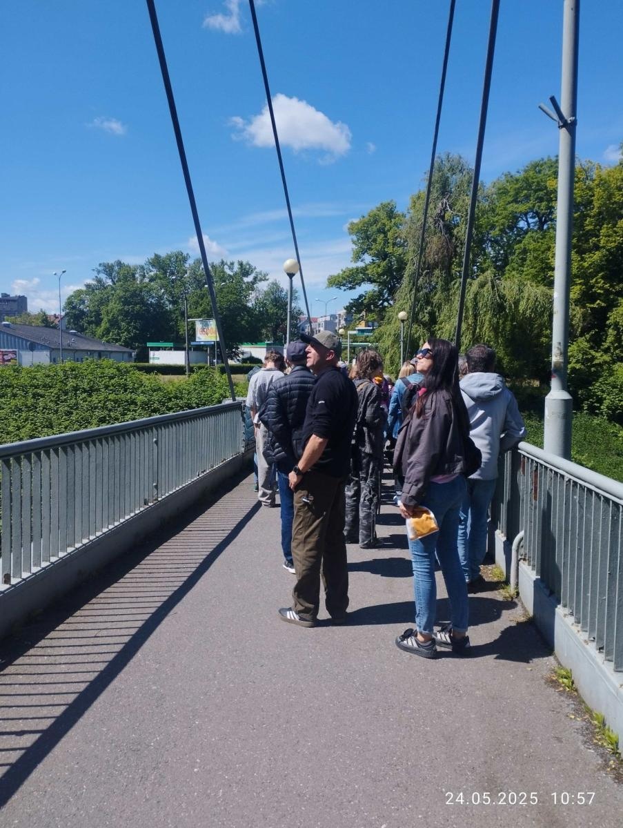 Zdjęcie w galerii na portalu naszraciborz.pl: Ptasia przygoda w sercu Raciborza wiadomości z regionu