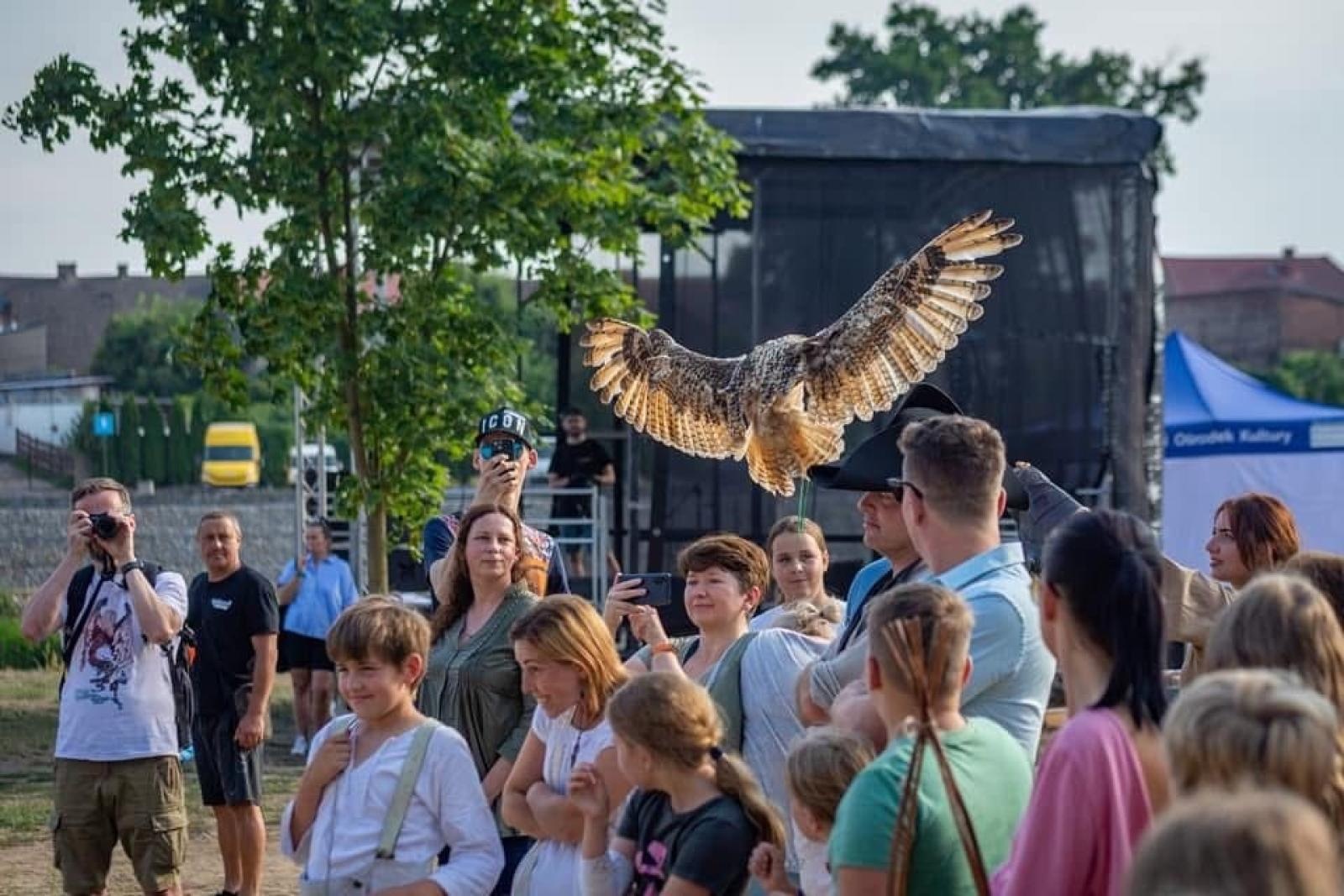Zdjęcie w galerii na portalu naszraciborz.pl: Pokaz sokolniczy w programie Międzynarodowego Turnieju Rycerskiego na raciborskim zamku [ZAPROSZENIE] wiadomości z regionu
