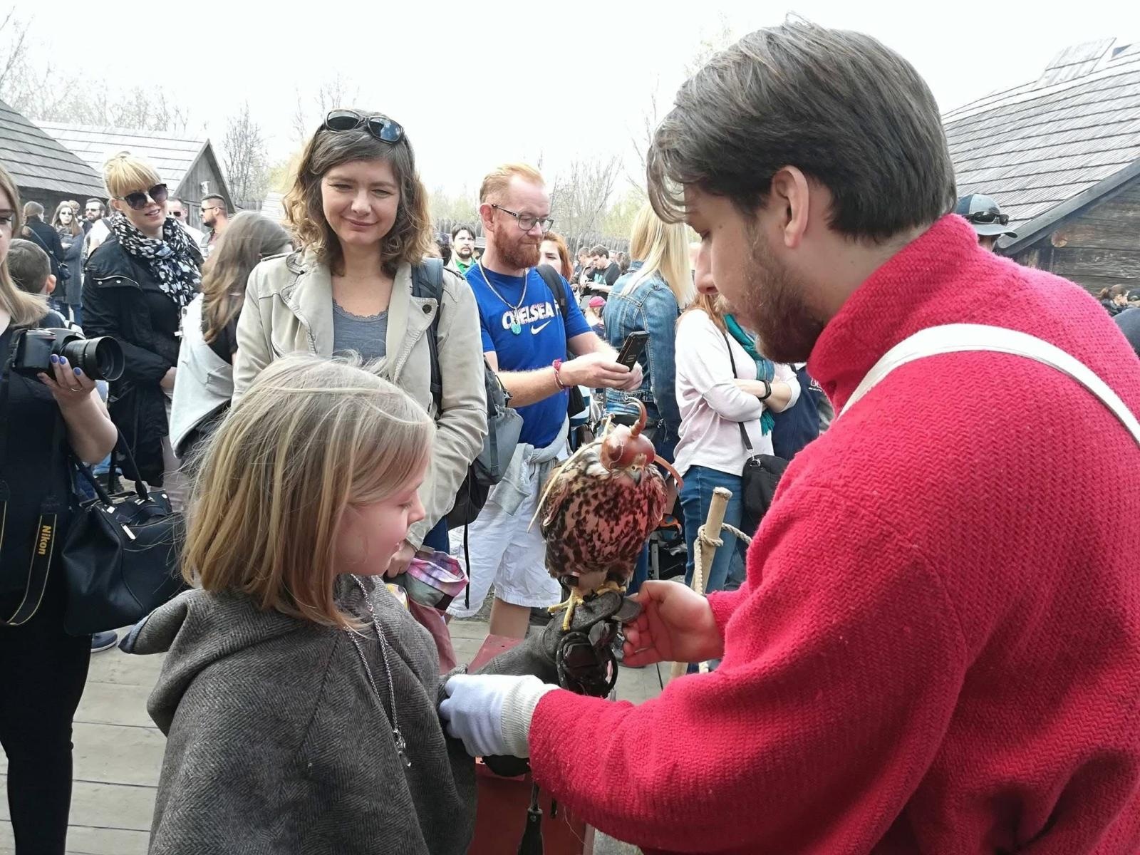 Zdjęcie w galerii na portalu naszraciborz.pl: Pokaz sokolniczy w programie Międzynarodowego Turnieju Rycerskiego na raciborskim zamku [ZAPROSZENIE] wiadomości z regionu