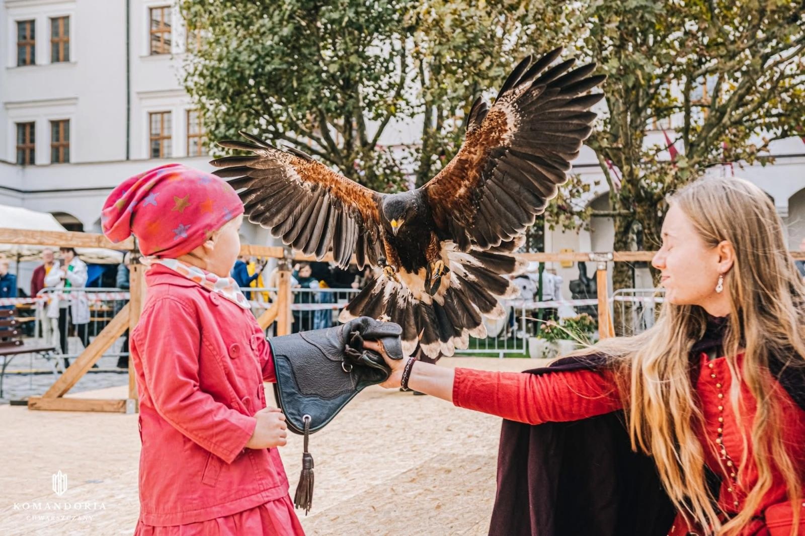 Zdjęcie w galerii na portalu naszraciborz.pl: Pokaz sokolniczy w programie Międzynarodowego Turnieju Rycerskiego na raciborskim zamku [ZAPROSZENIE] wiadomości z regionu