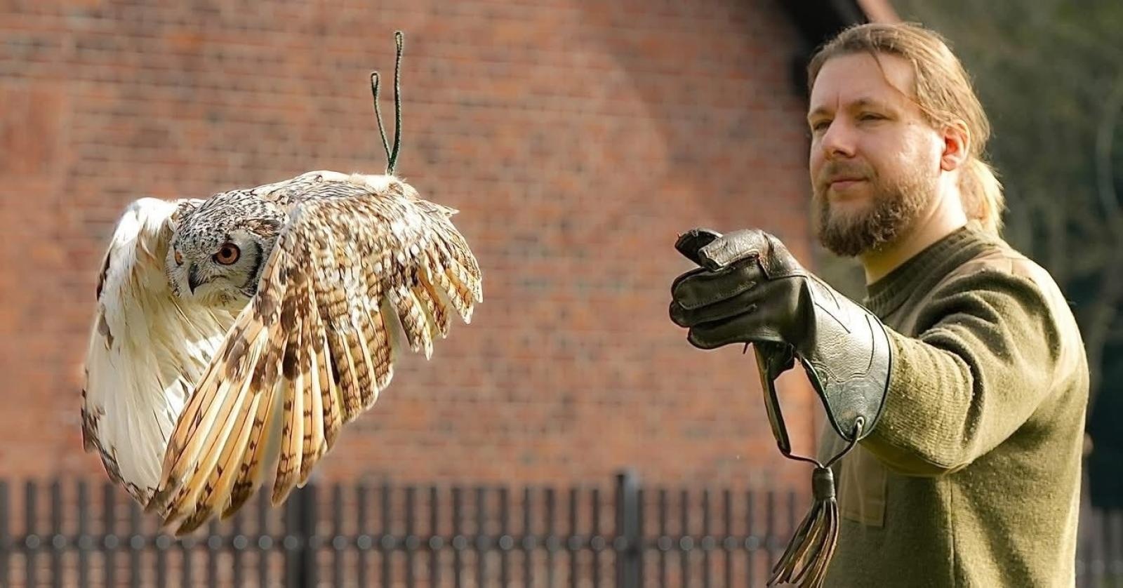 Zdjęcie w galerii na portalu naszraciborz.pl: Pokaz sokolniczy w programie Międzynarodowego Turnieju Rycerskiego na raciborskim zamku [ZAPROSZENIE] wiadomości z regionu