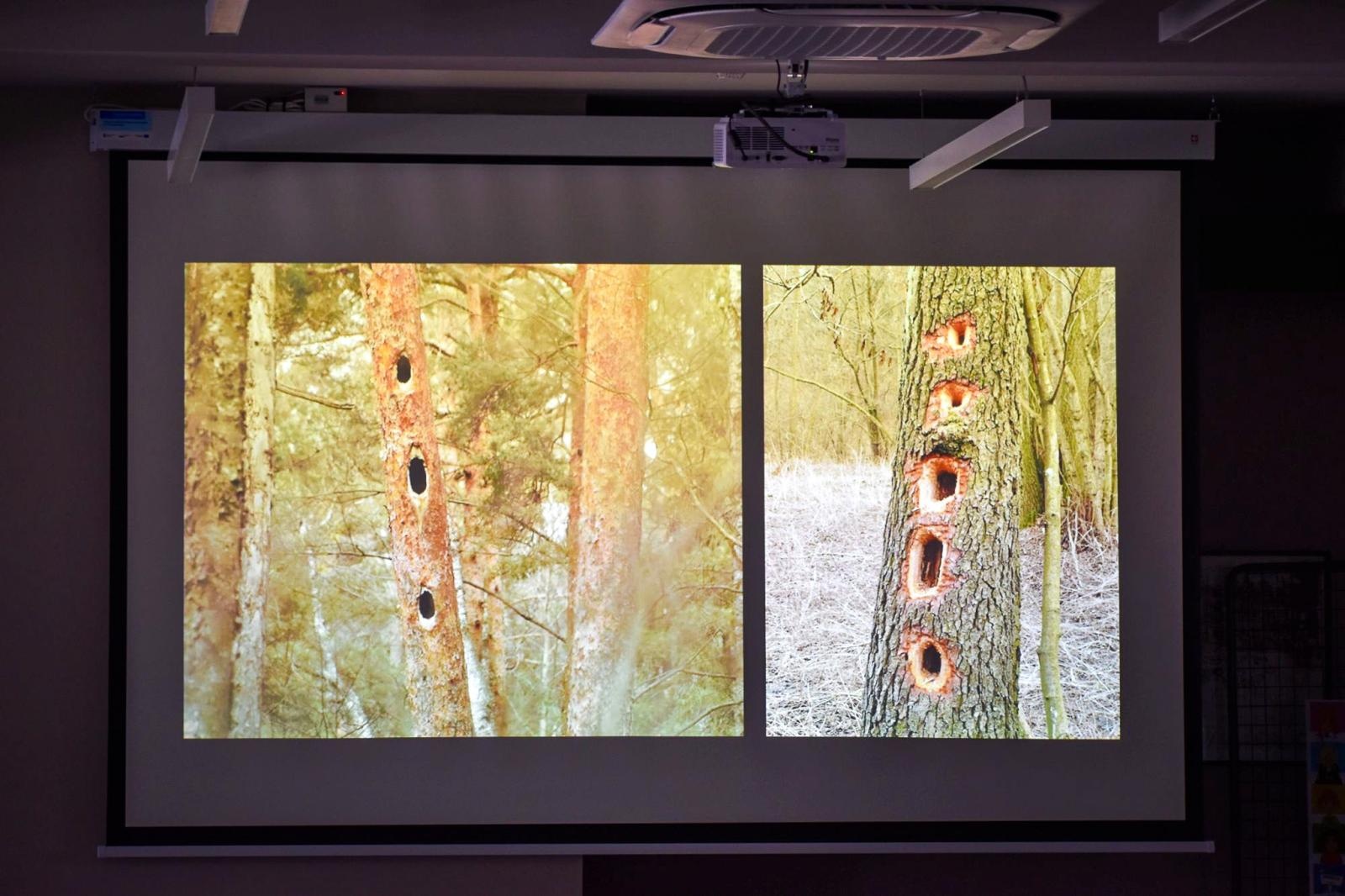Zdjęcie w galerii na portalu naszraciborz.pl: Uczniowie Kasprowicza wzięli udział w Akademii Leśnika na Zamku Piastowskim wiadomości z regionu