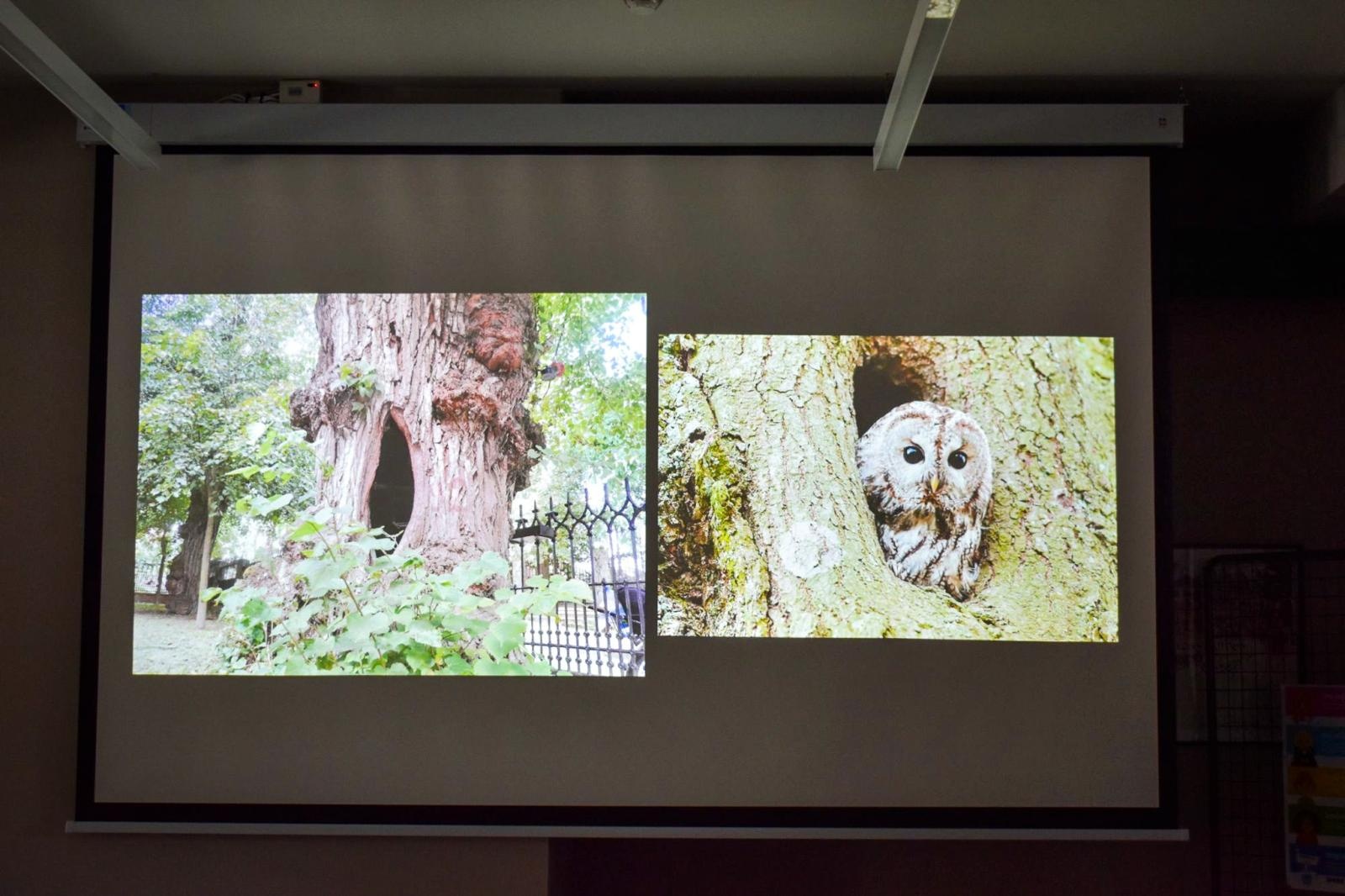 Zdjęcie w galerii na portalu naszraciborz.pl: Uczniowie Kasprowicza wzięli udział w Akademii Leśnika na Zamku Piastowskim wiadomości z regionu
