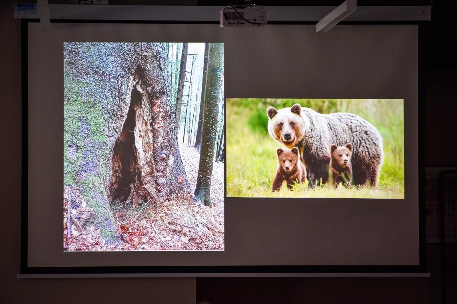 Zdjęcie w galerii na portalu naszraciborz.pl: Uczniowie Kasprowicza wzięli udział w Akademii Leśnika na Zamku Piastowskim wiadomości z regionu