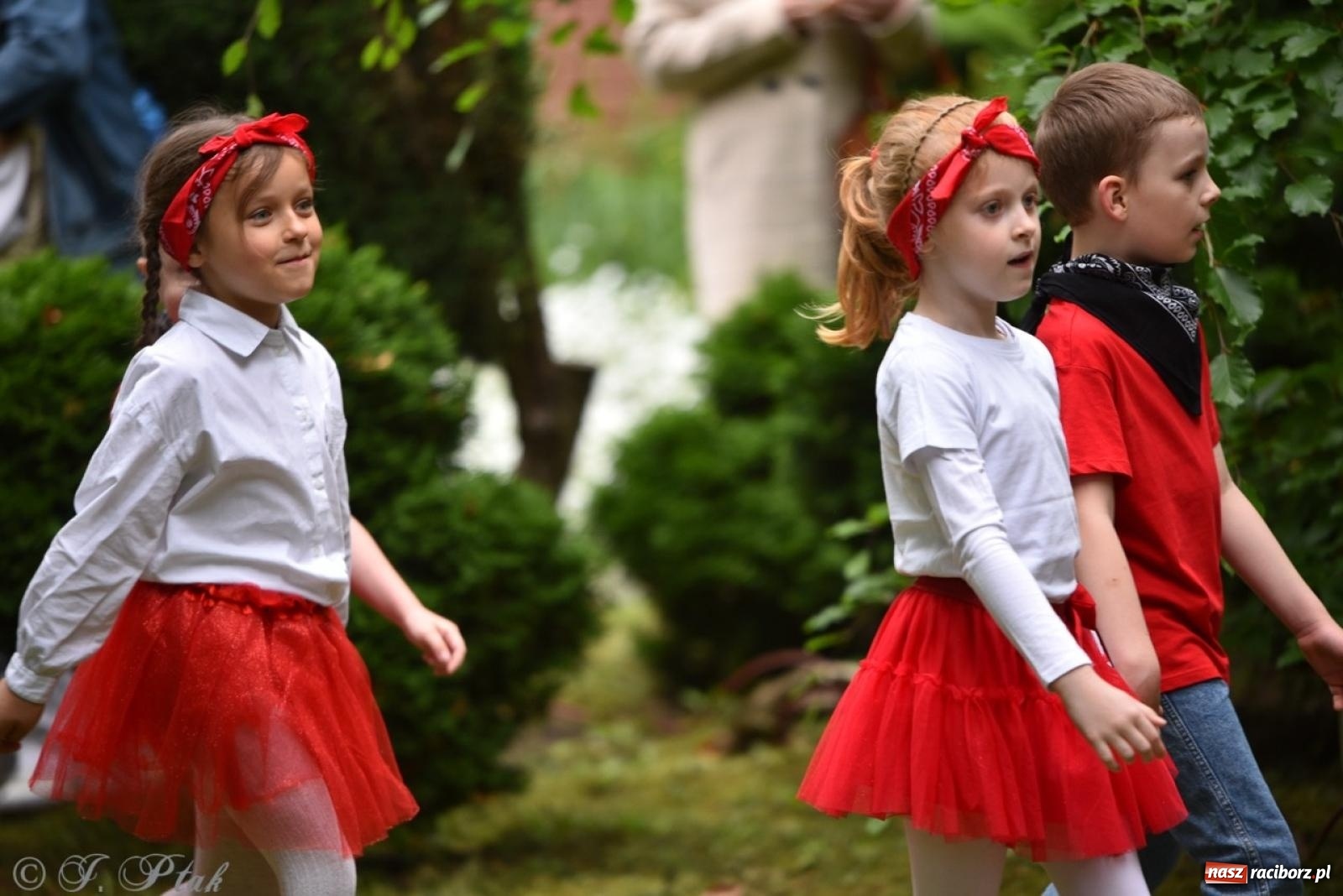 Zdjęcie w galerii na portalu naszraciborz.pl: Rodzinna atmosfera na festynie Przedszkola nr 13 w Raciborzu [FOTO i WIDEO] wiadomości z regionu