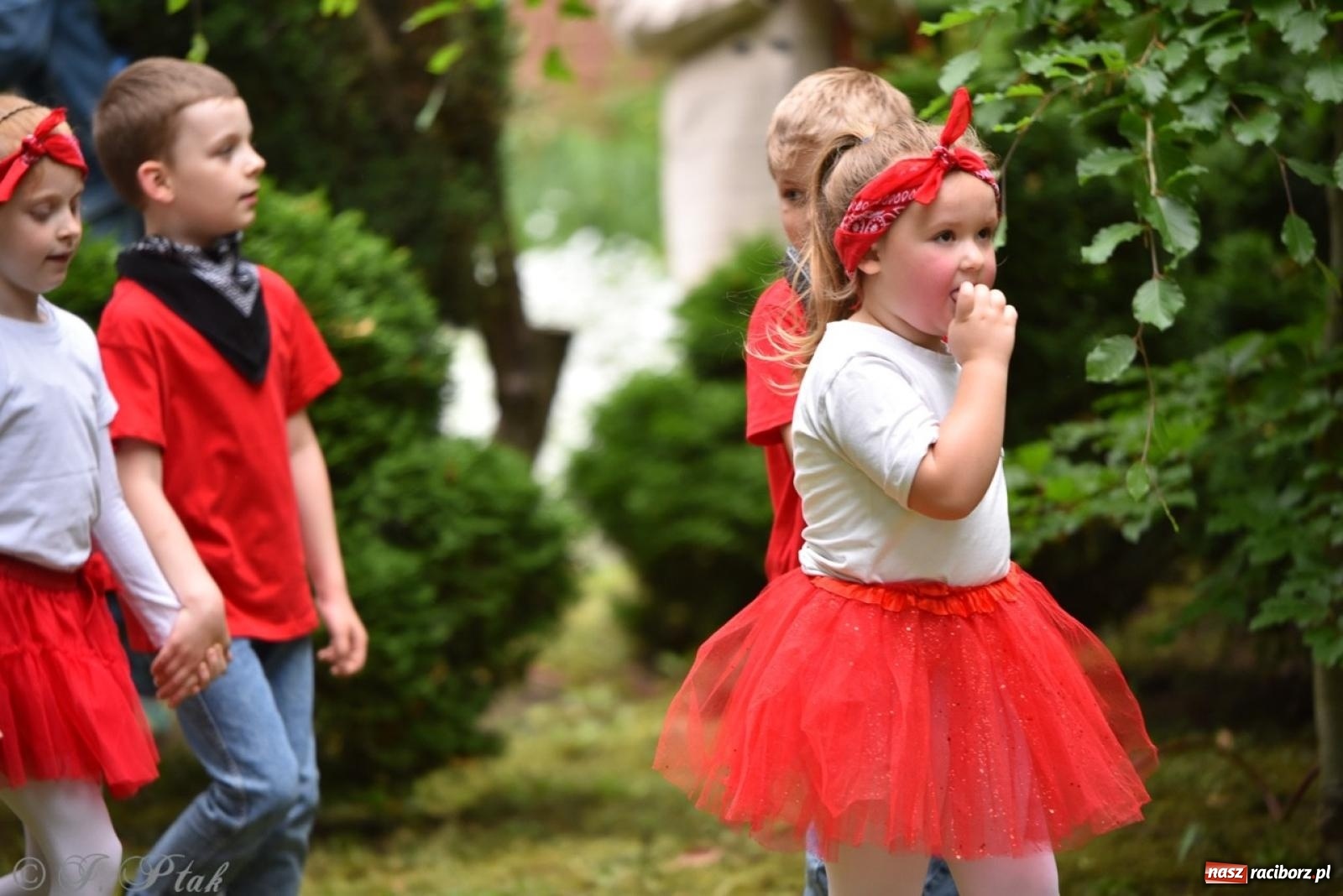 Zdjęcie w galerii na portalu naszraciborz.pl: Rodzinna atmosfera na festynie Przedszkola nr 13 w Raciborzu [FOTO i WIDEO] wiadomości z regionu