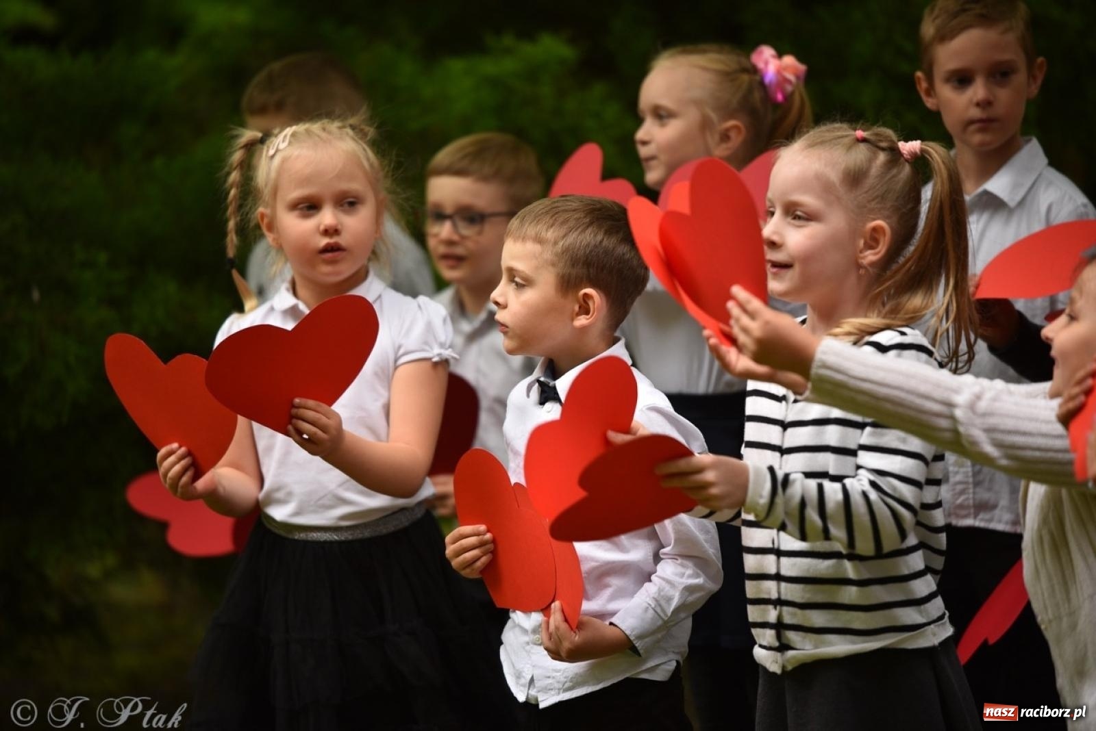 Zdjęcie w galerii na portalu naszraciborz.pl: Rodzinna atmosfera na festynie Przedszkola nr 13 w Raciborzu [FOTO i WIDEO] wiadomości z regionu