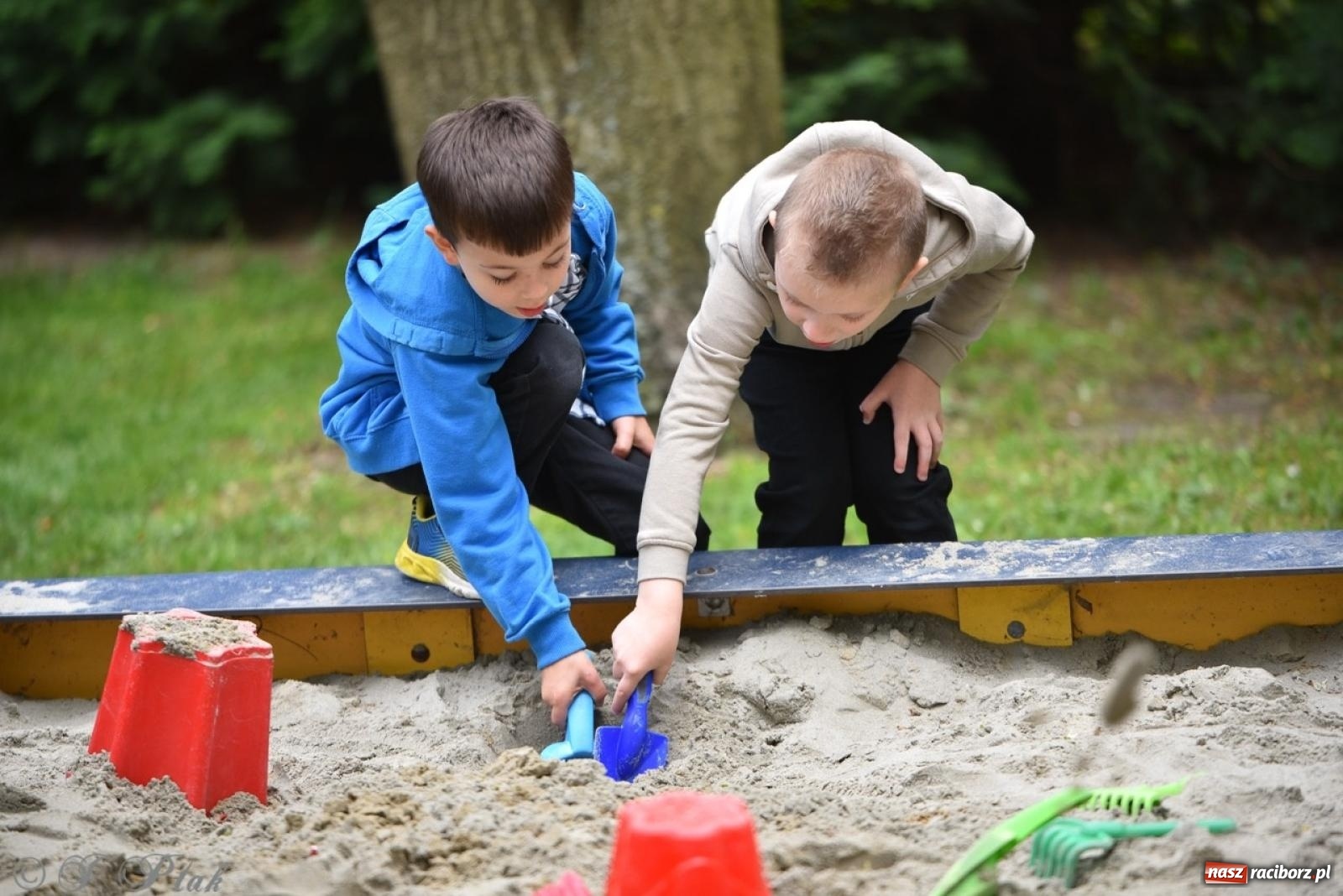 Zdjęcie w galerii na portalu naszraciborz.pl: Rodzinna atmosfera na festynie Przedszkola nr 13 w Raciborzu [FOTO i WIDEO] wiadomości z regionu