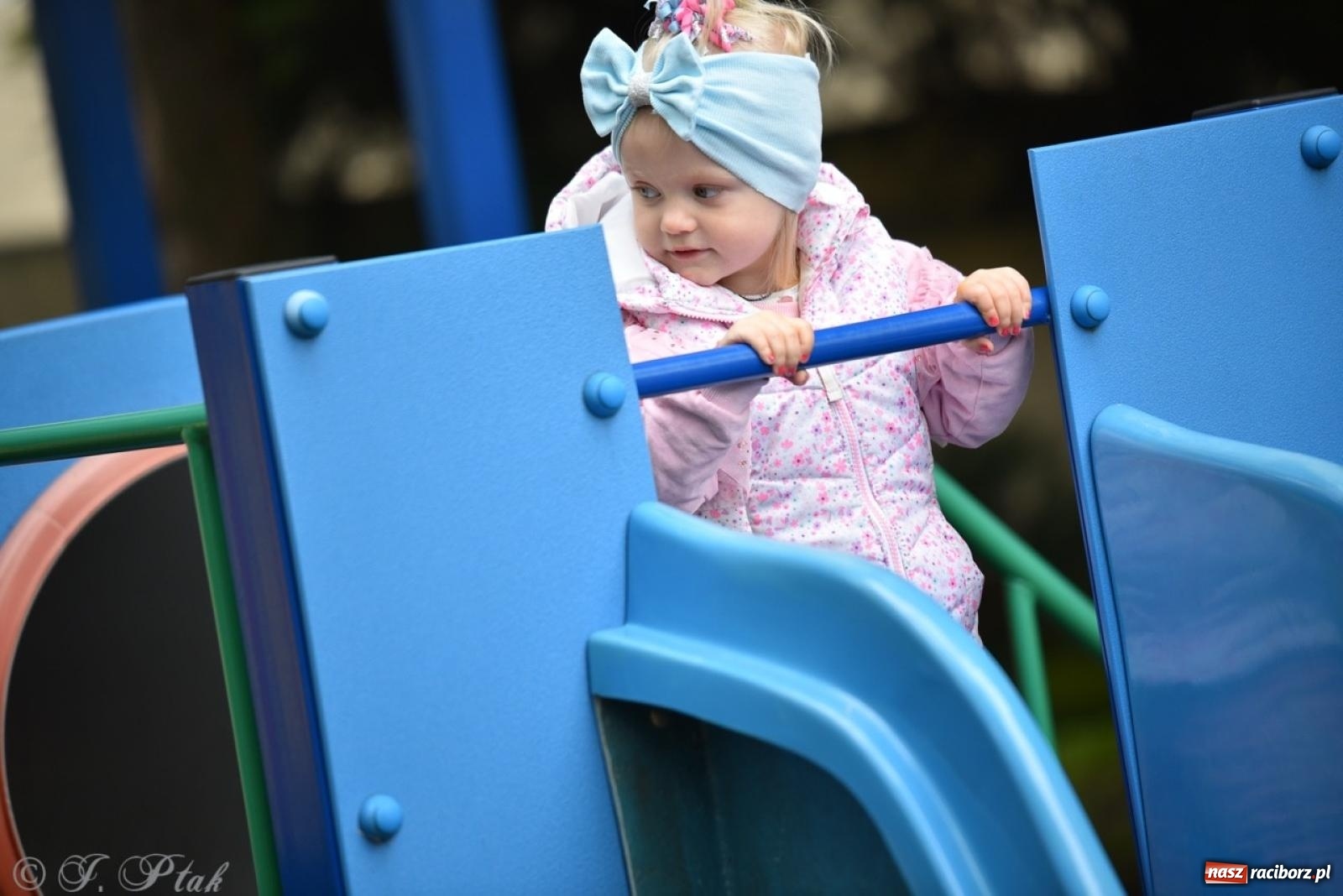 Zdjęcie w galerii na portalu naszraciborz.pl: Rodzinna atmosfera na festynie Przedszkola nr 13 w Raciborzu [FOTO i WIDEO] wiadomości z regionu