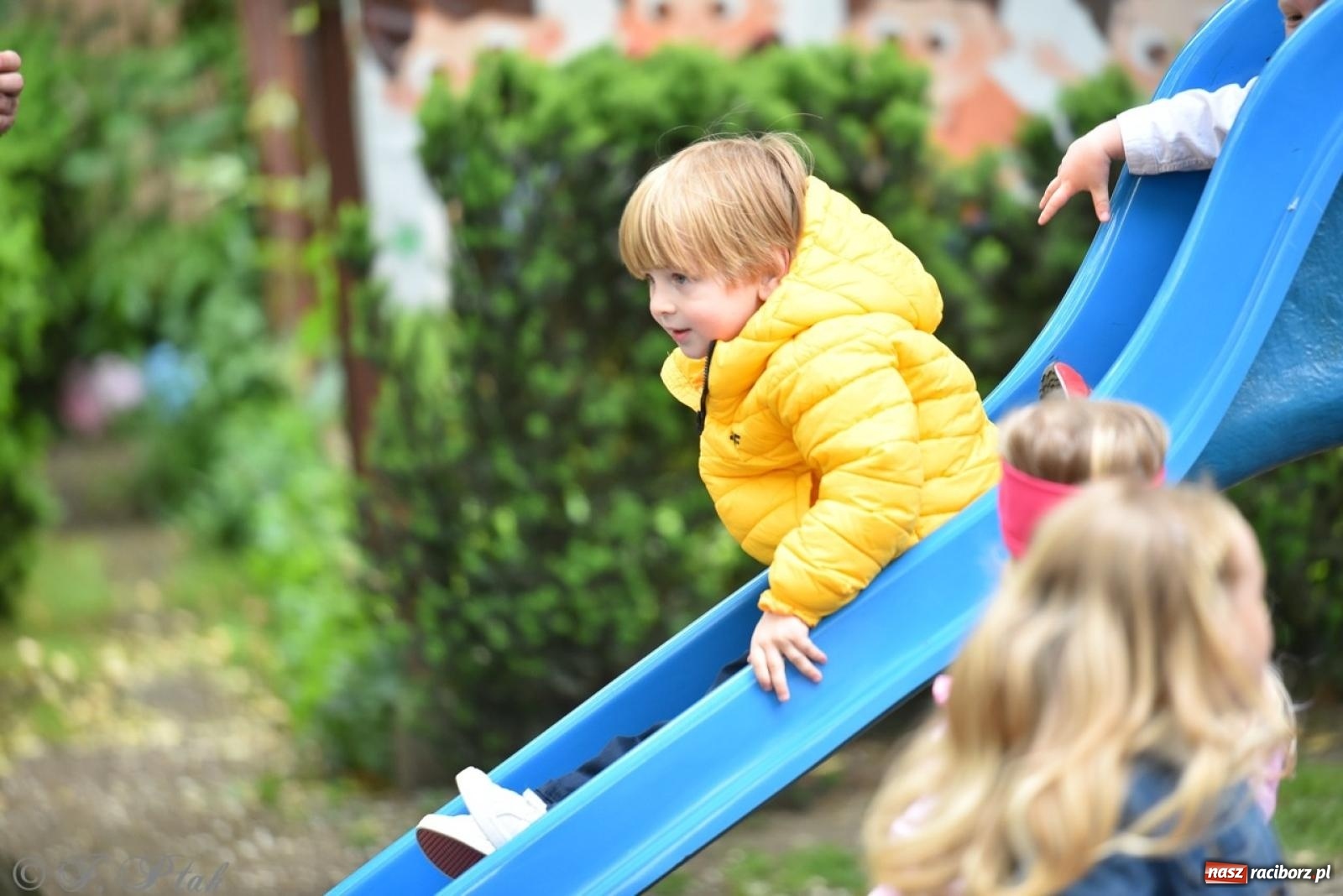 Zdjęcie w galerii na portalu naszraciborz.pl: Rodzinna atmosfera na festynie Przedszkola nr 13 w Raciborzu [FOTO i WIDEO] wiadomości z regionu
