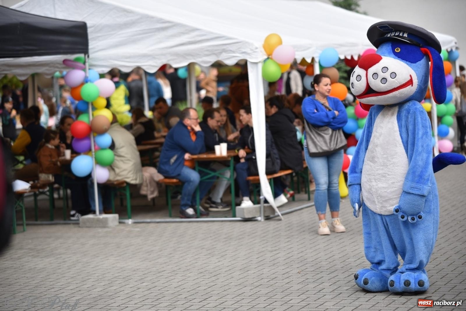 Zdjęcie w galerii na portalu naszraciborz.pl: Rodzinny festyn przed szkołą muzyczną. Było gwarno, kolorowo i radośnie [FOTO i WIDEO] wiadomości z regionu