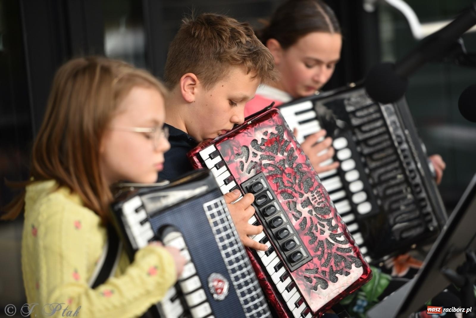 Zdjęcie w galerii na portalu naszraciborz.pl: Rodzinny festyn przed szkołą muzyczną. Było gwarno, kolorowo i radośnie [FOTO i WIDEO] wiadomości z regionu