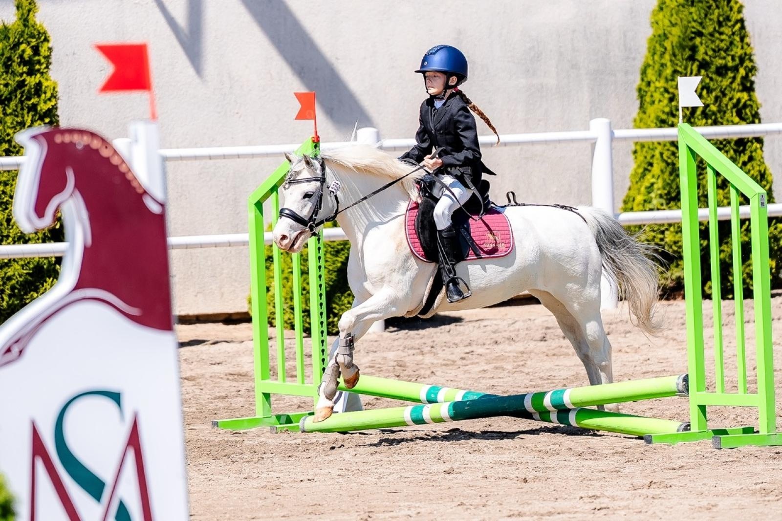 Zdjęcie w galerii na portalu naszraciborz.pl: Sportowe emocje i rodzinna atmosfera – zawody jeździeckie w Kornicach pod patronatem Wójta Gminy Pietrowice Wielkie wiadomości z regionu
