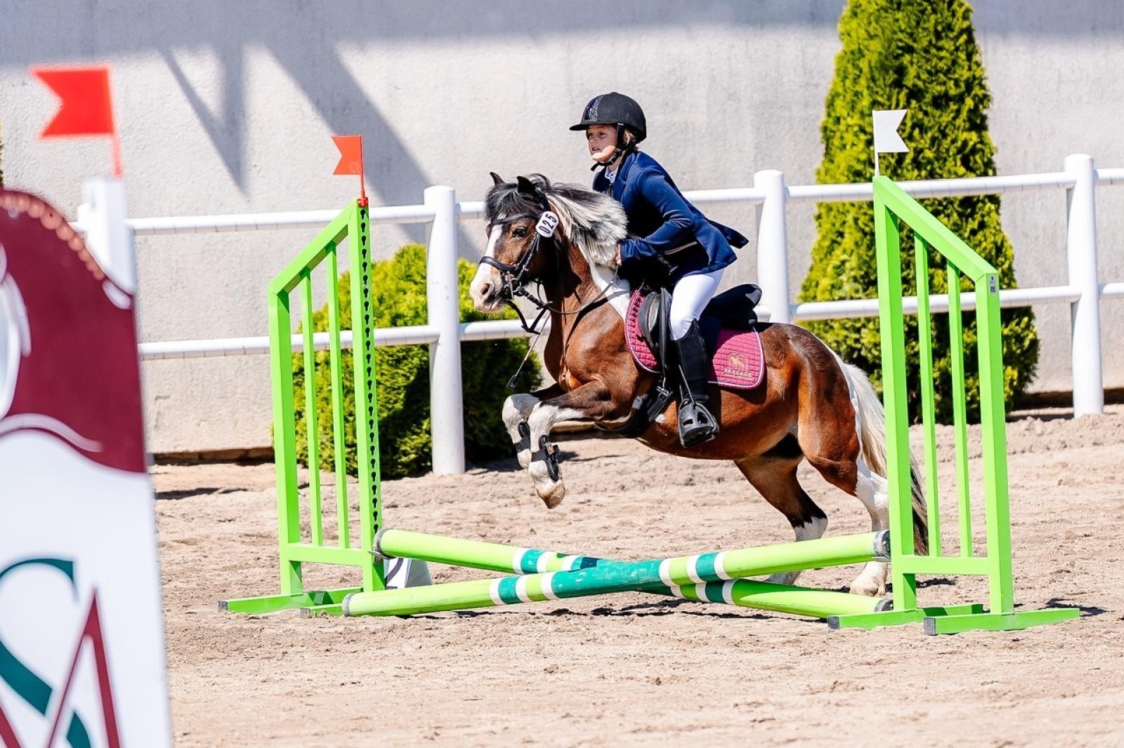 Zdjęcie w galerii na portalu naszraciborz.pl: Sportowe emocje i rodzinna atmosfera – zawody jeździeckie w Kornicach pod patronatem Wójta Gminy Pietrowice Wielkie wiadomości z regionu
