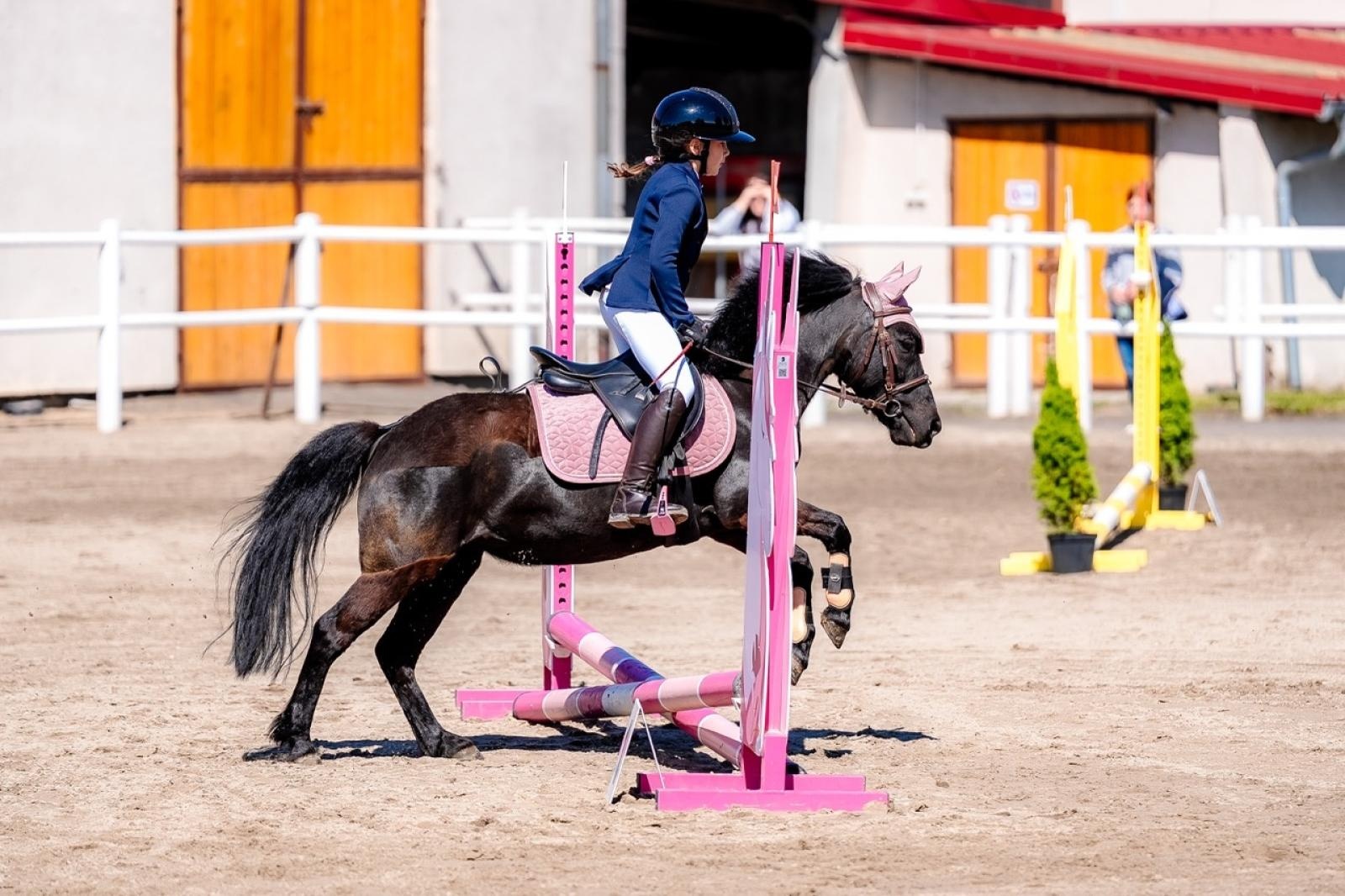 Zdjęcie w galerii na portalu naszraciborz.pl: Sportowe emocje i rodzinna atmosfera – zawody jeździeckie w Kornicach pod patronatem Wójta Gminy Pietrowice Wielkie wiadomości z regionu