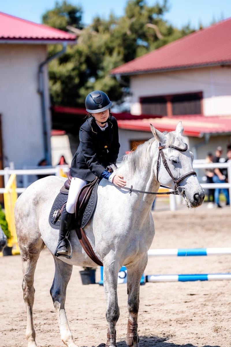 Zdjęcie w galerii na portalu naszraciborz.pl: Sportowe emocje i rodzinna atmosfera – zawody jeździeckie w Kornicach pod patronatem Wójta Gminy Pietrowice Wielkie wiadomości z regionu