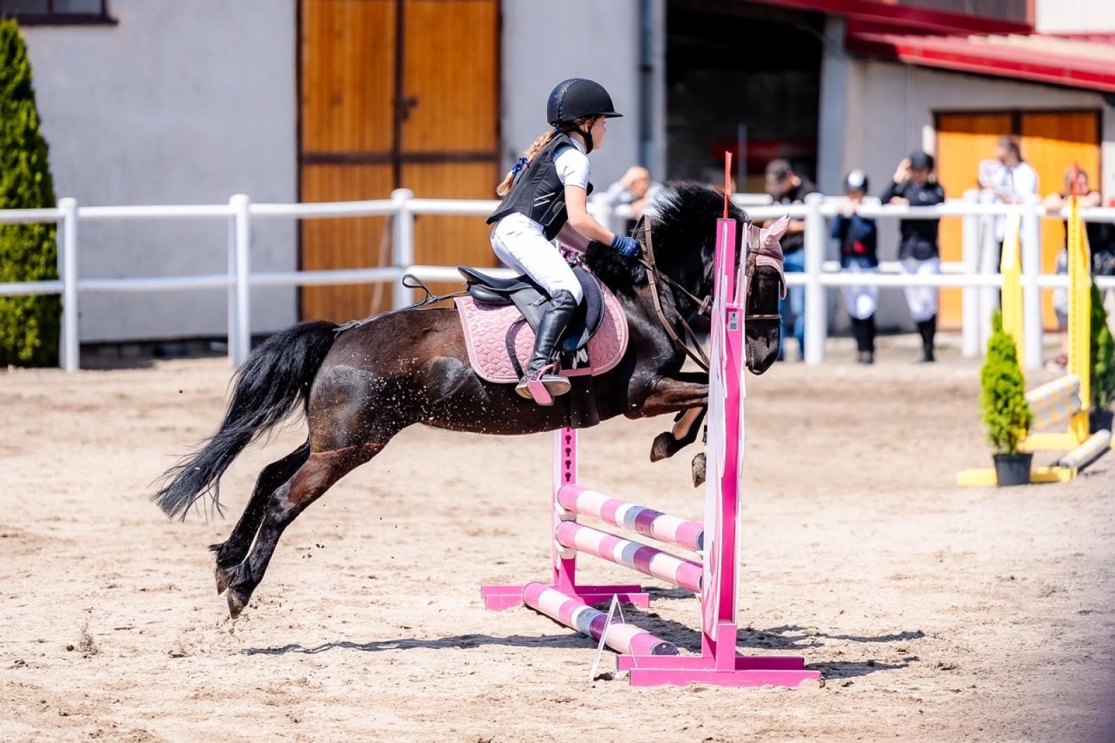 Zdjęcie w galerii na portalu naszraciborz.pl: Sportowe emocje i rodzinna atmosfera – zawody jeździeckie w Kornicach pod patronatem Wójta Gminy Pietrowice Wielkie wiadomości z regionu