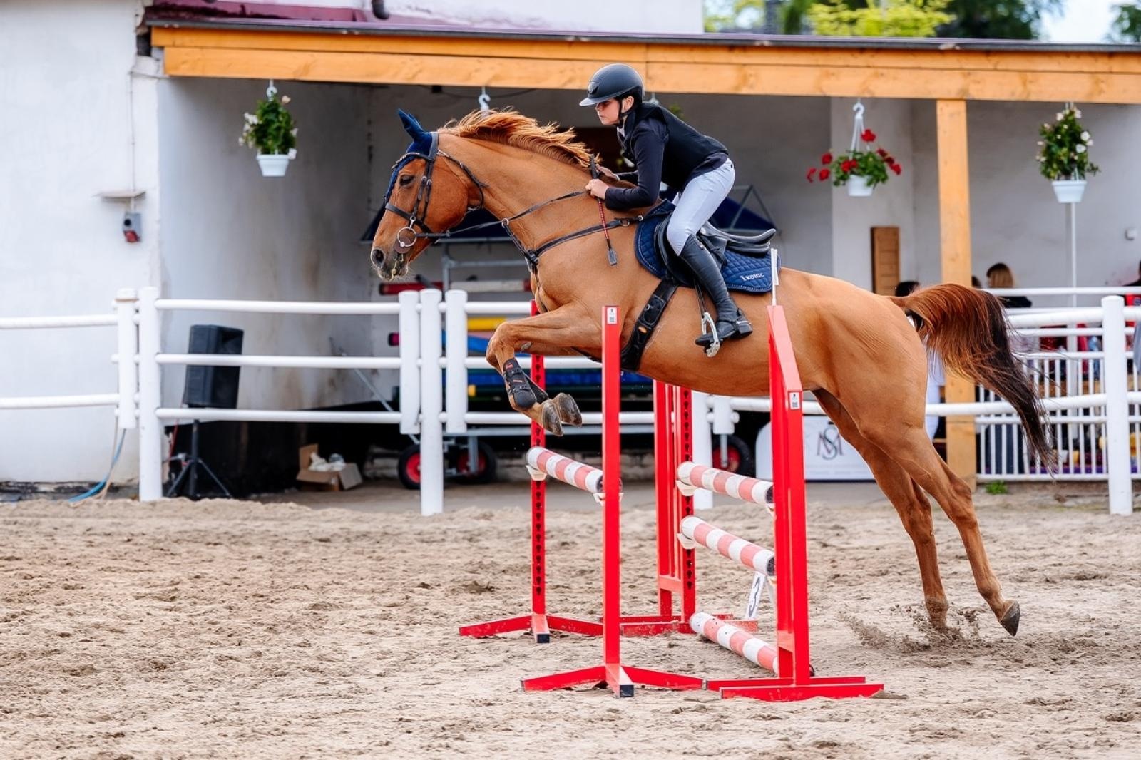 Zdjęcie w galerii na portalu naszraciborz.pl: Sportowe emocje i rodzinna atmosfera – zawody jeździeckie w Kornicach pod patronatem Wójta Gminy Pietrowice Wielkie wiadomości z regionu