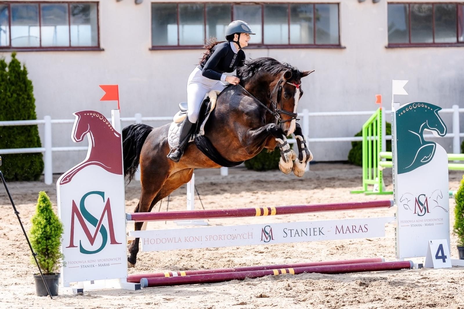 Zdjęcie w galerii na portalu naszraciborz.pl: Sportowe emocje i rodzinna atmosfera – zawody jeździeckie w Kornicach pod patronatem Wójta Gminy Pietrowice Wielkie wiadomości z regionu