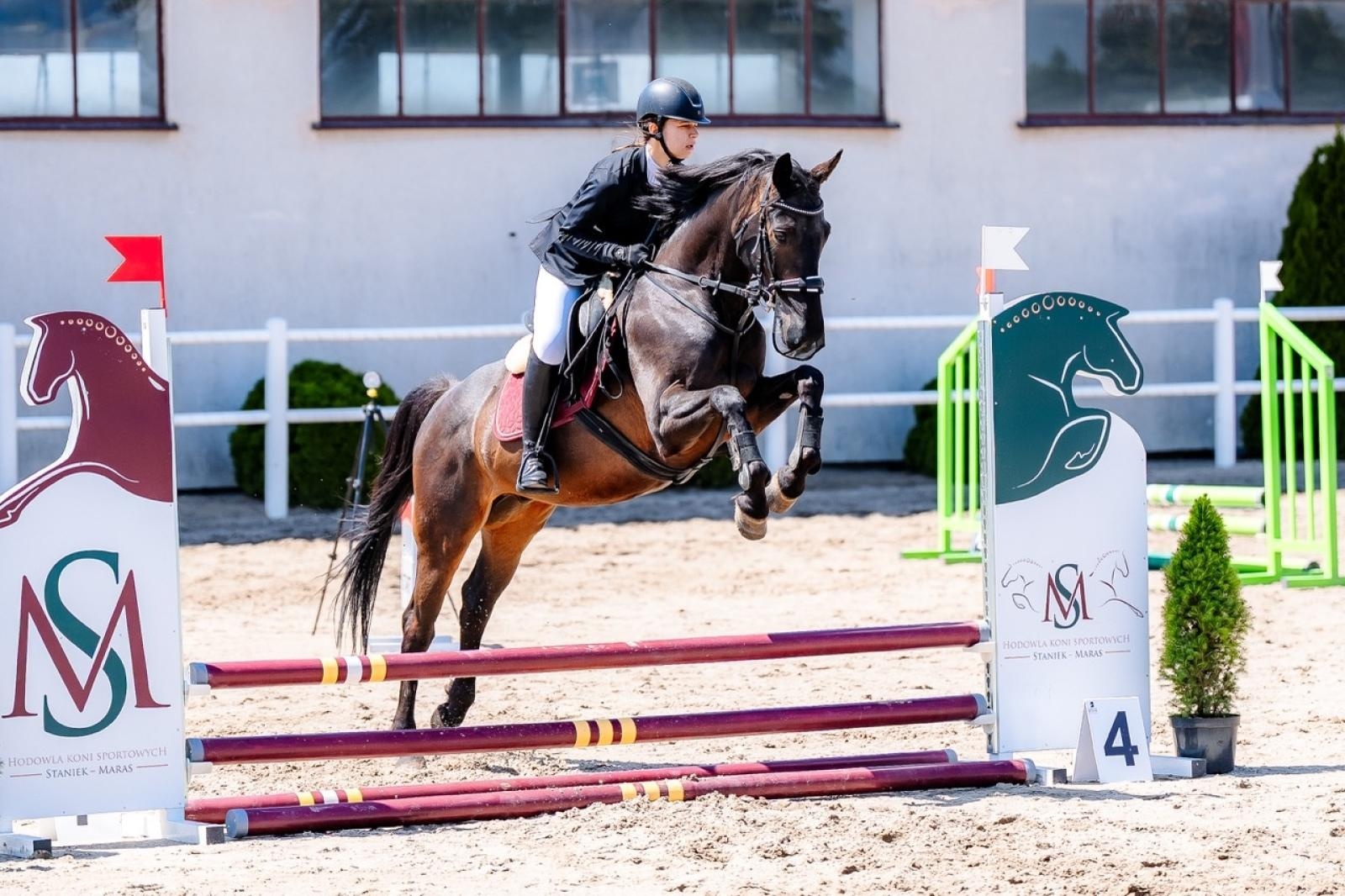Zdjęcie w galerii na portalu naszraciborz.pl: Sportowe emocje i rodzinna atmosfera – zawody jeździeckie w Kornicach pod patronatem Wójta Gminy Pietrowice Wielkie wiadomości z regionu