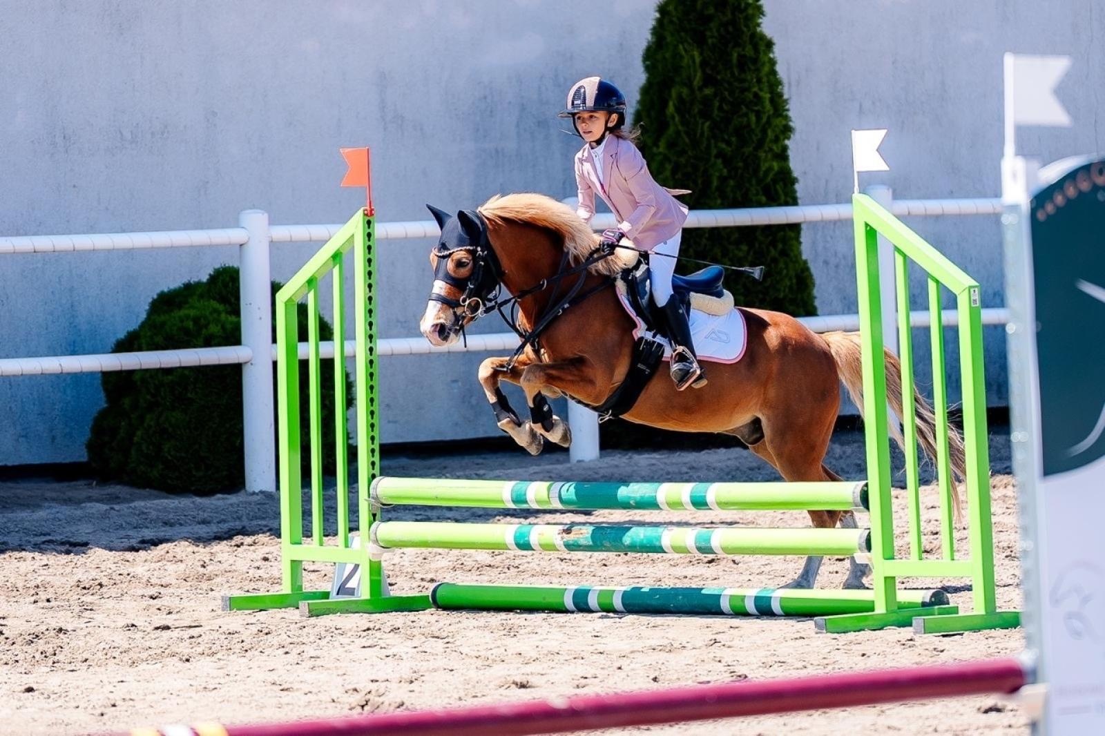 Zdjęcie w galerii na portalu naszraciborz.pl: Sportowe emocje i rodzinna atmosfera – zawody jeździeckie w Kornicach pod patronatem Wójta Gminy Pietrowice Wielkie wiadomości z regionu