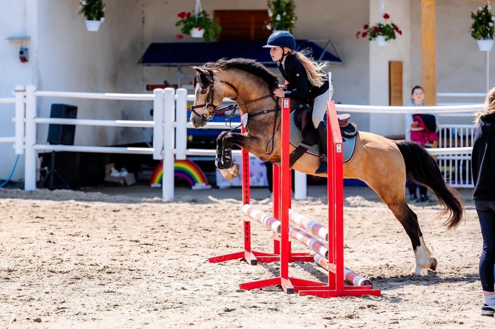 Zdjęcie w galerii na portalu naszraciborz.pl: Sportowe emocje i rodzinna atmosfera – zawody jeździeckie w Kornicach pod patronatem Wójta Gminy Pietrowice Wielkie wiadomości z regionu