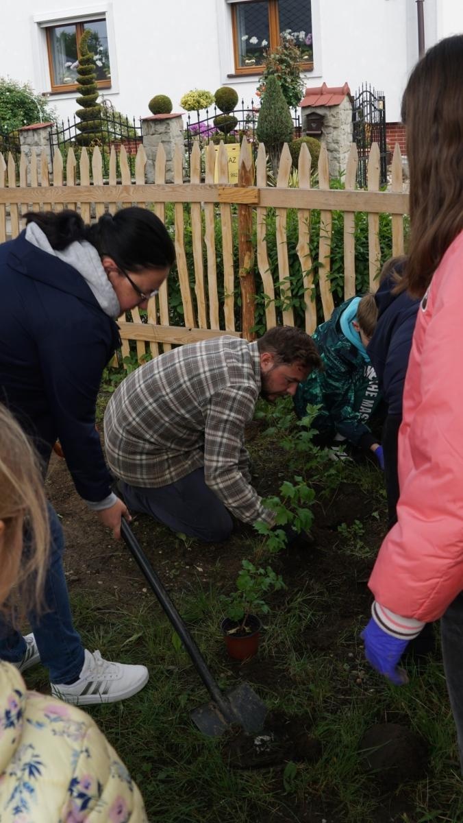 Zdjęcie w galerii na portalu naszraciborz.pl: Przy spichlerzu w Sudole powstała zegrodka [FOTO] wiadomości z regionu