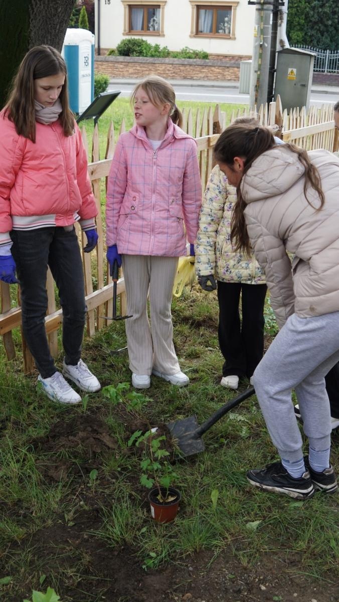 Zdjęcie w galerii na portalu naszraciborz.pl: Przy spichlerzu w Sudole powstała zegrodka [FOTO] wiadomości z regionu
