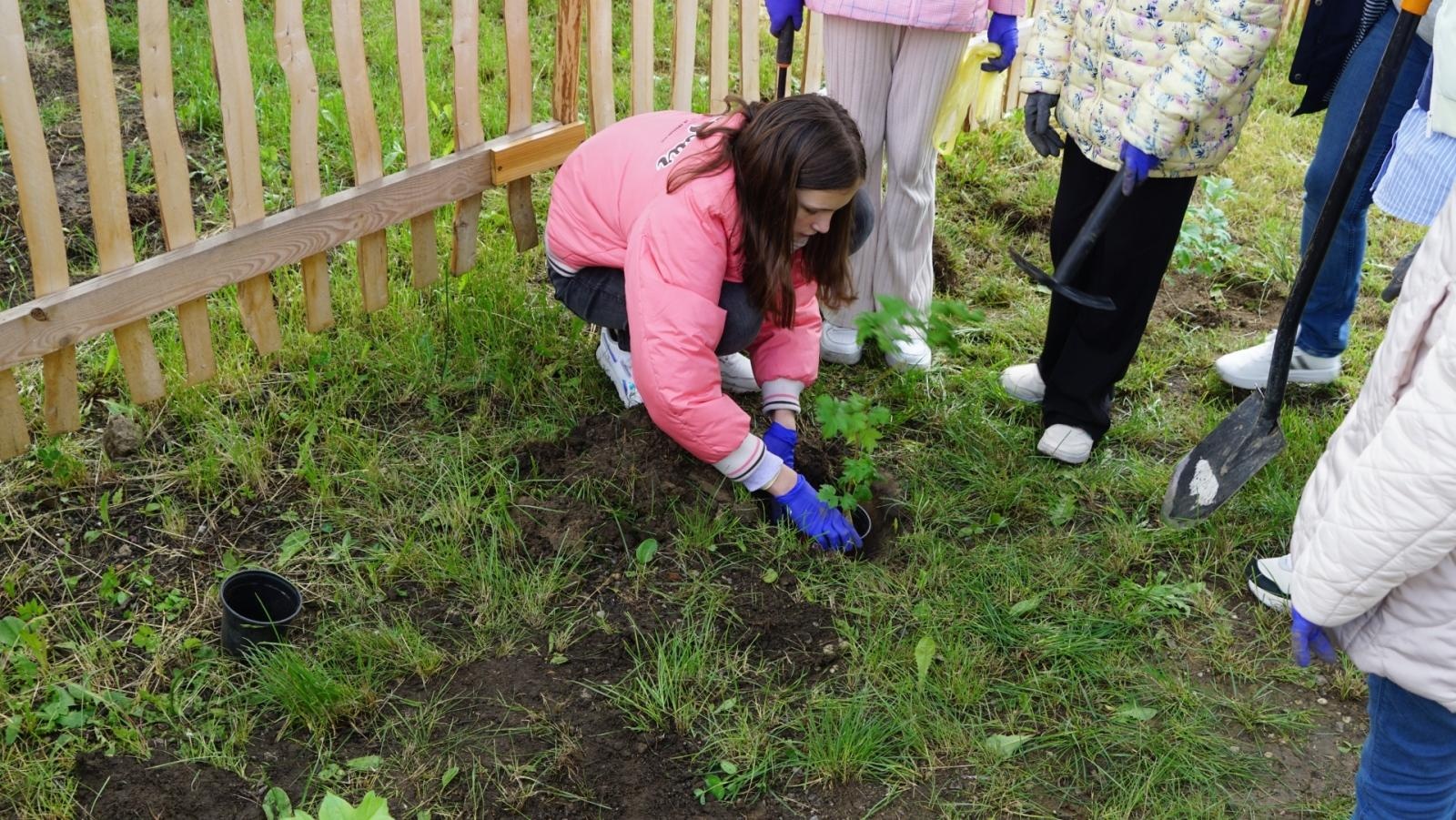 Zdjęcie w galerii na portalu naszraciborz.pl: Przy spichlerzu w Sudole powstała zegrodka [FOTO] wiadomości z regionu