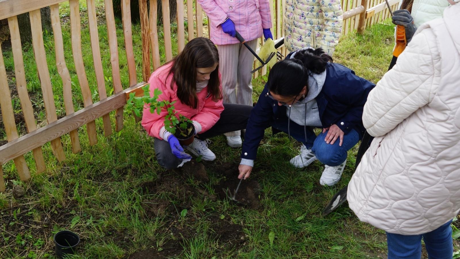 Zdjęcie w galerii na portalu naszraciborz.pl: Przy spichlerzu w Sudole powstała zegrodka [FOTO] wiadomości z regionu