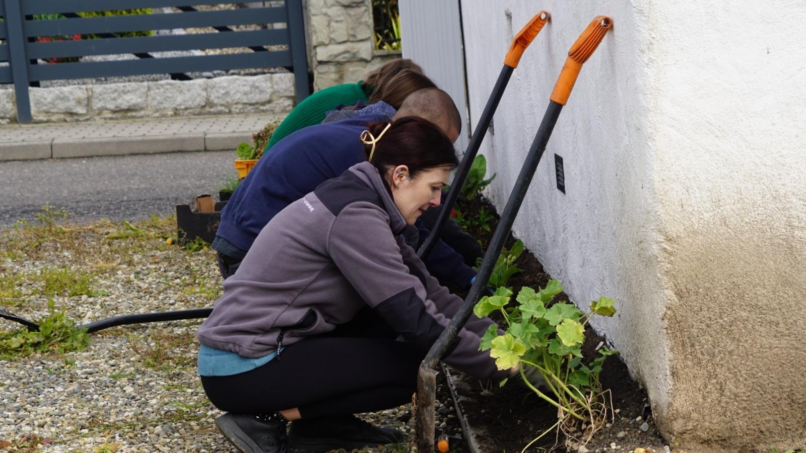 Zdjęcie w galerii na portalu naszraciborz.pl: Przy spichlerzu w Sudole powstała zegrodka [FOTO] wiadomości z regionu