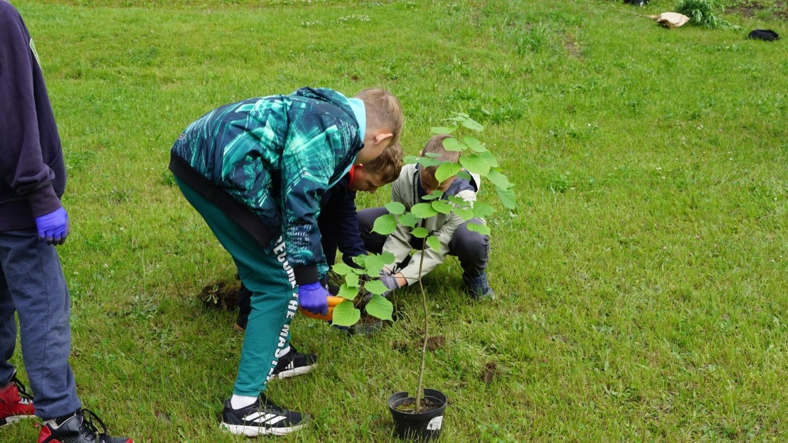Zdjęcie w galerii na portalu naszraciborz.pl: Przy spichlerzu w Sudole powstała zegrodka [FOTO] wiadomości z regionu