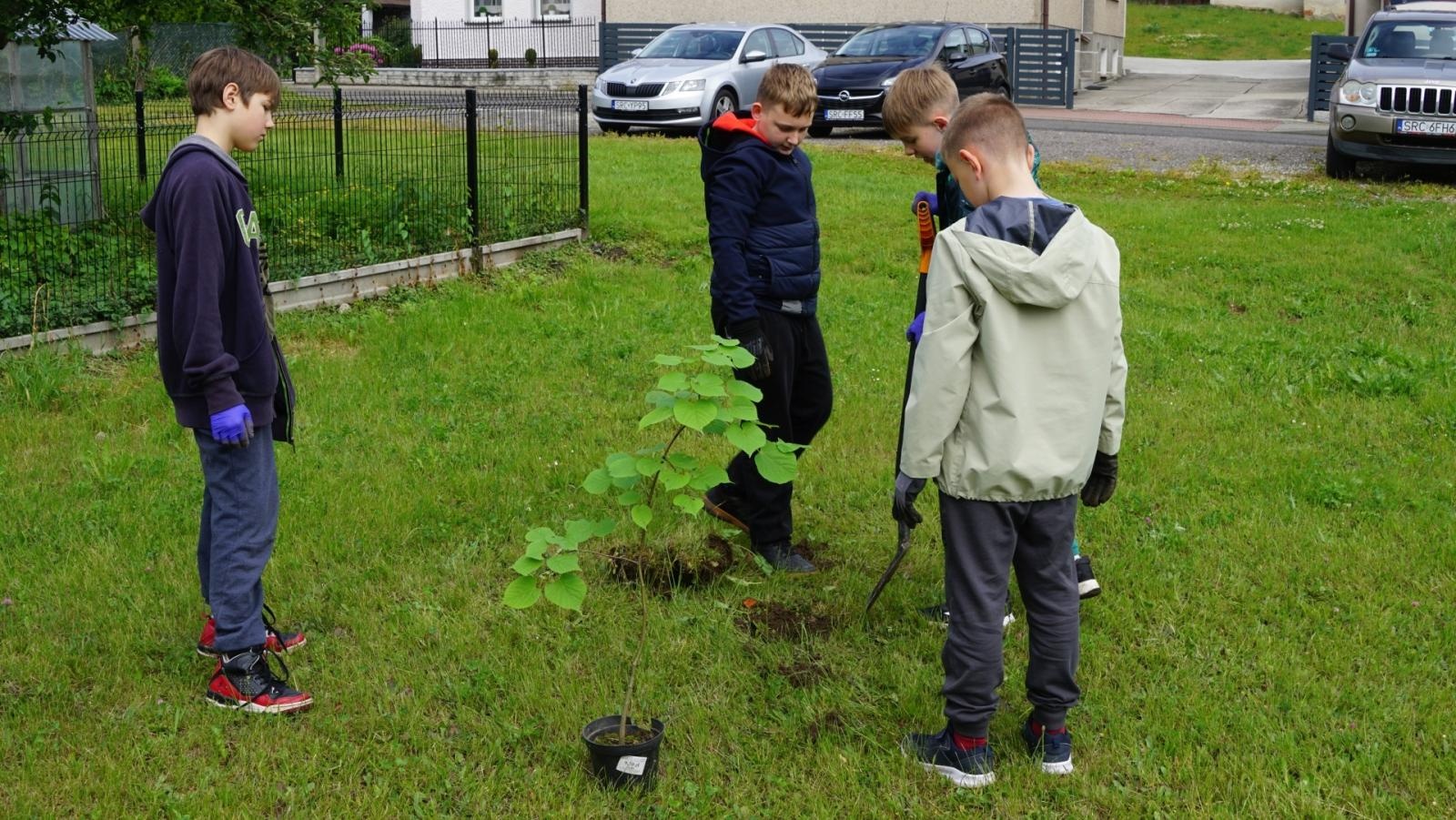 Zdjęcie w galerii na portalu naszraciborz.pl: Przy spichlerzu w Sudole powstała zegrodka [FOTO] wiadomości z regionu