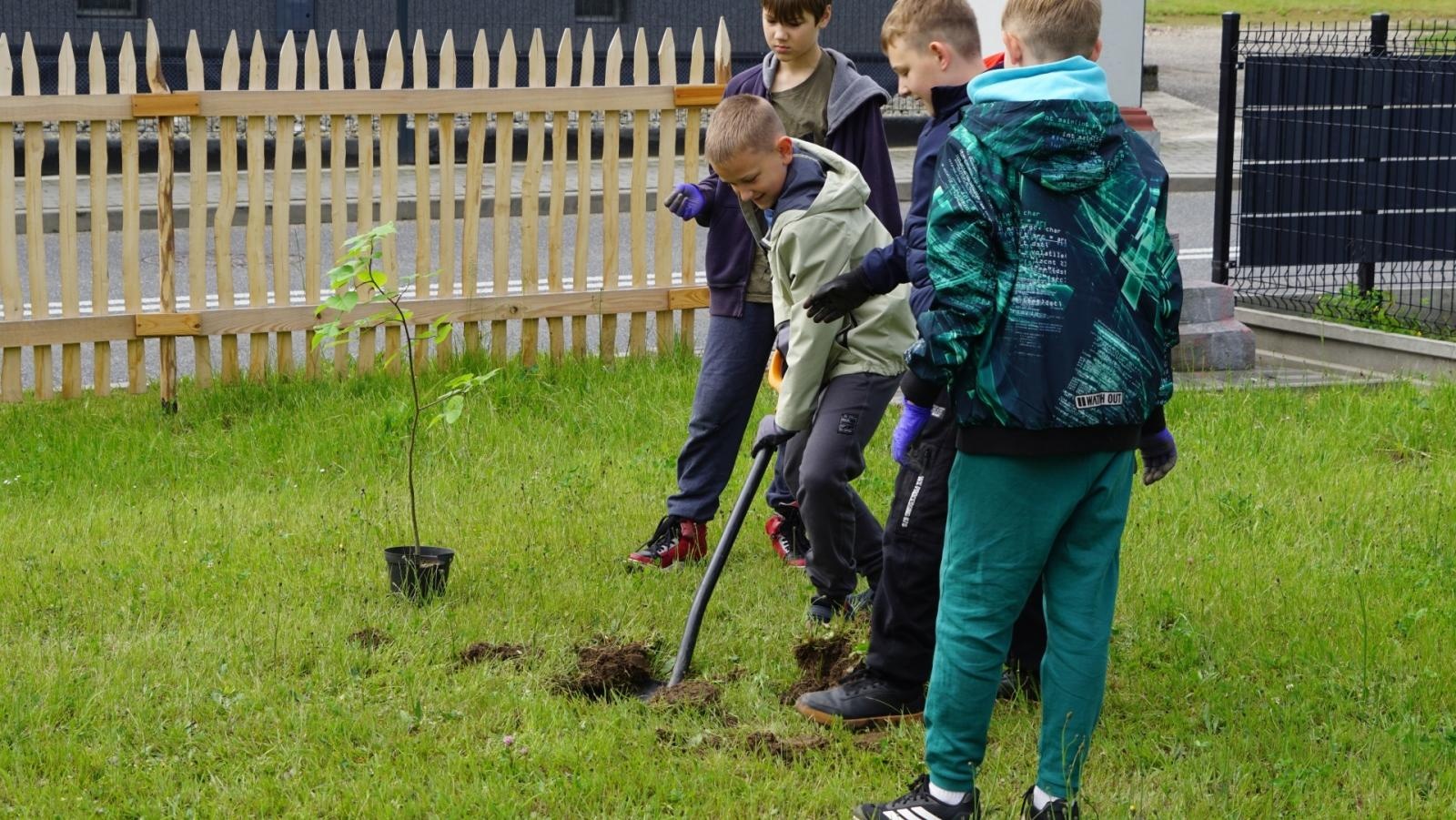 Zdjęcie w galerii na portalu naszraciborz.pl: Przy spichlerzu w Sudole powstała zegrodka [FOTO] wiadomości z regionu