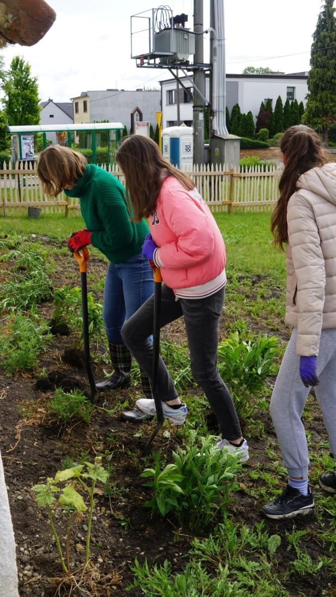 Zdjęcie w galerii na portalu naszraciborz.pl: Przy spichlerzu w Sudole powstała zegrodka [FOTO] wiadomości z regionu