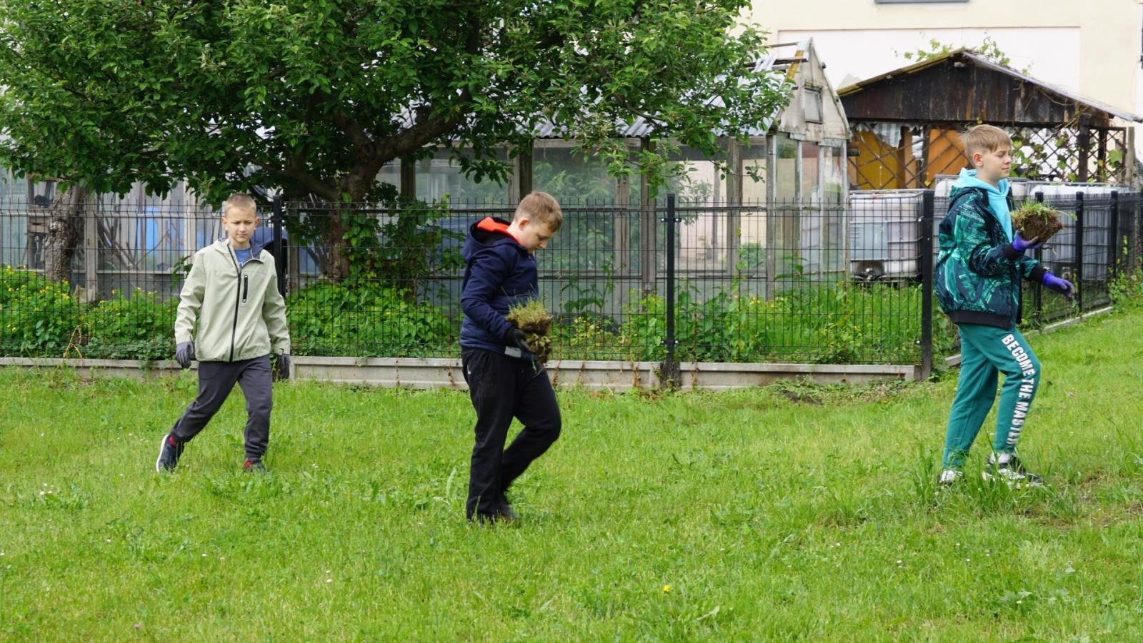Zdjęcie w galerii na portalu naszraciborz.pl: Przy spichlerzu w Sudole powstała zegrodka [FOTO] wiadomości z regionu
