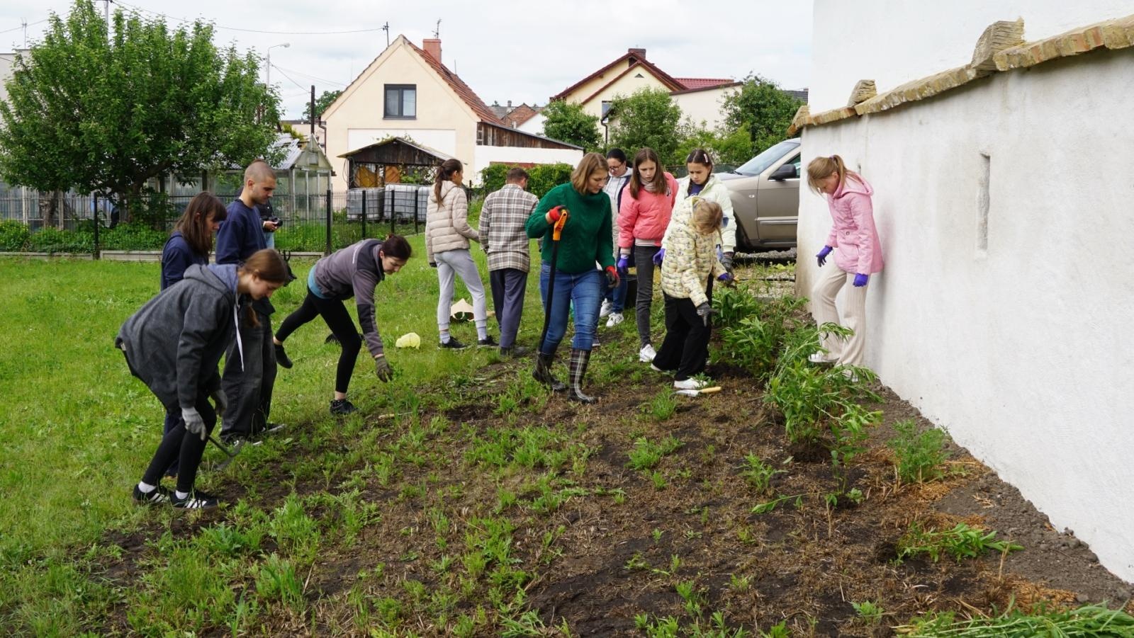 Zdjęcie w galerii na portalu naszraciborz.pl: Przy spichlerzu w Sudole powstała zegrodka [FOTO] wiadomości z regionu