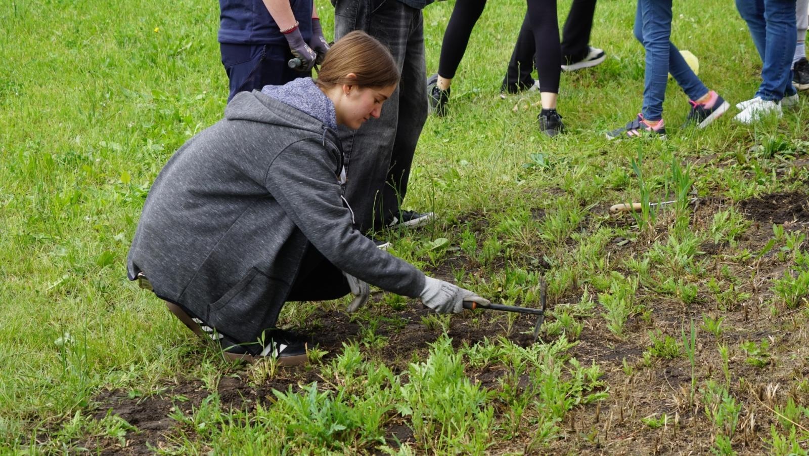 Zdjęcie w galerii na portalu naszraciborz.pl: Przy spichlerzu w Sudole powstała zegrodka [FOTO] wiadomości z regionu