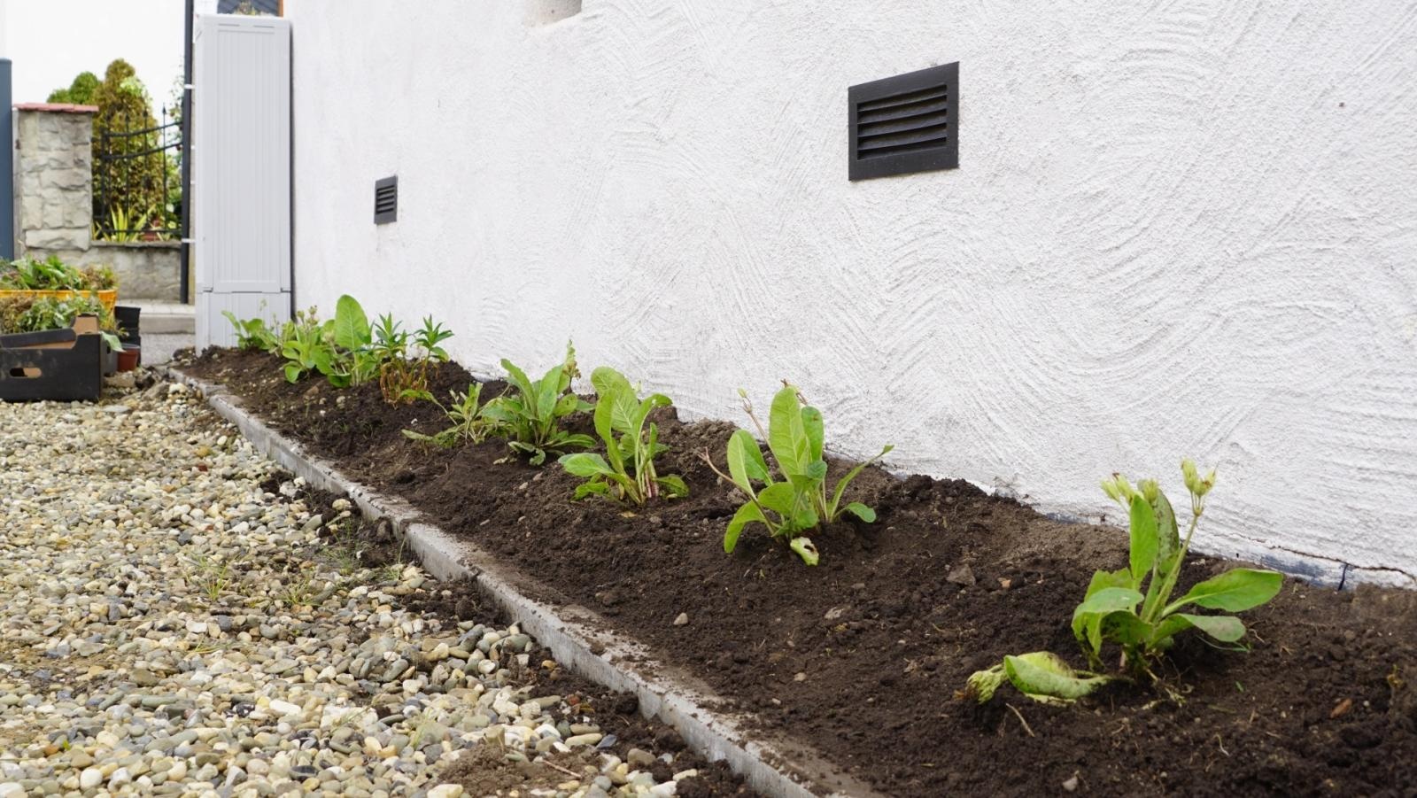 Zdjęcie w galerii na portalu naszraciborz.pl: Przy spichlerzu w Sudole powstała zegrodka [FOTO] wiadomości z regionu