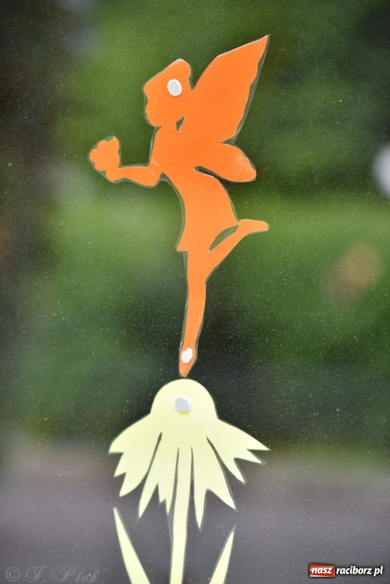 Zdjęcie w galerii na portalu naszraciborz.pl: Rodzinna przygoda w Przedszkolu nr 20 – festyn pełen radości i atrakcji [FOTO i WIDEO] wiadomości z regionu