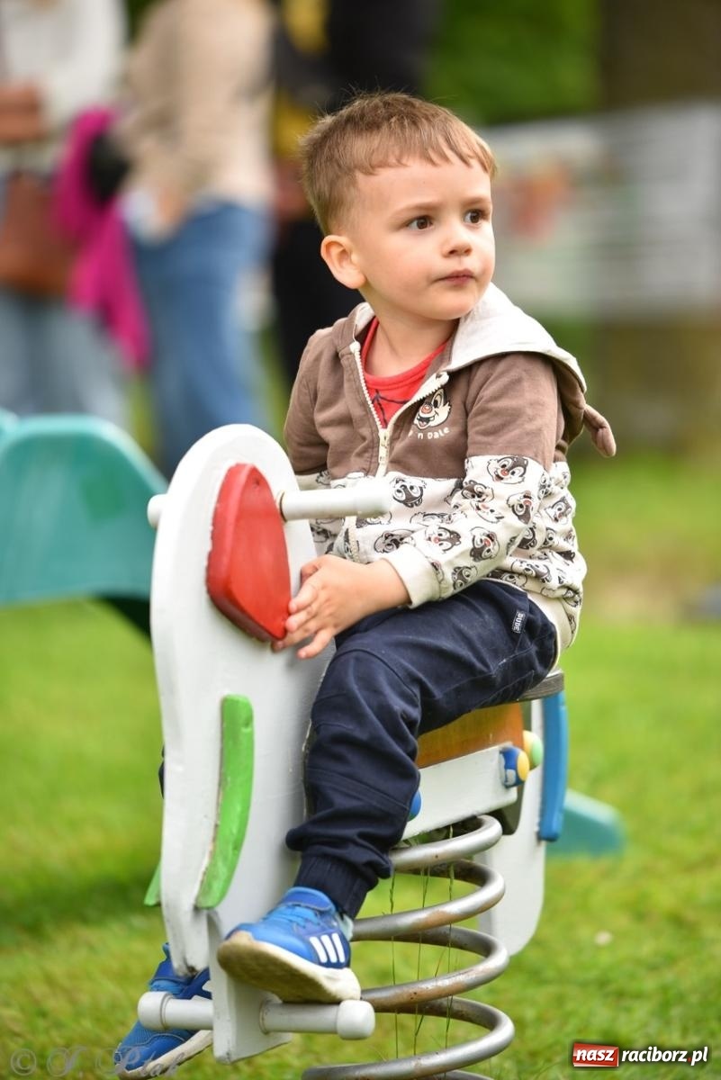 Zdjęcie w galerii na portalu naszraciborz.pl: Rodzinna przygoda w Przedszkolu nr 20 – festyn pełen radości i atrakcji [FOTO i WIDEO] wiadomości z regionu