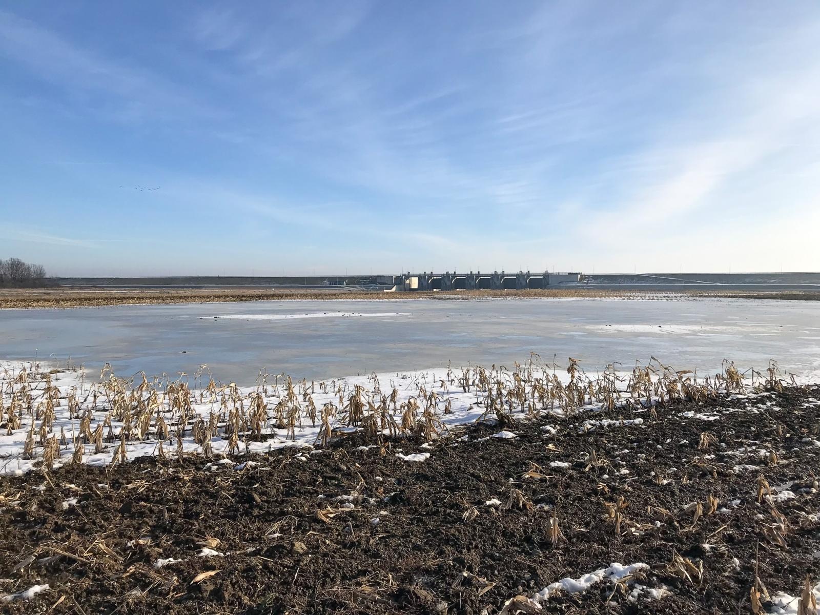 Zdjęcie w galerii na portalu naszraciborz.pl: Trwa monitoring przyrodniczy na zbiorniku Racibórz Dolny po wrześniowej powodzi wiadomości z regionu