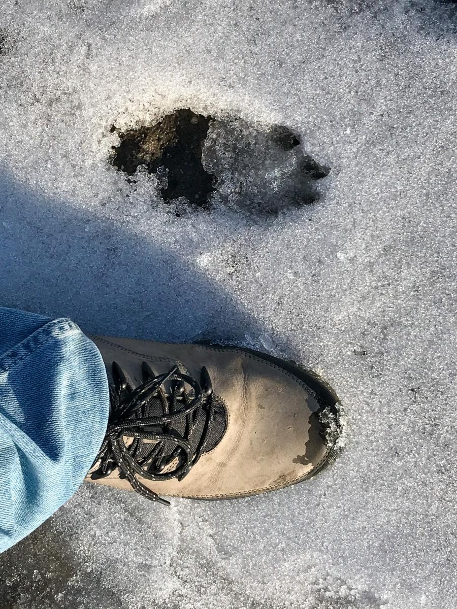 Zdjęcie w galerii na portalu naszraciborz.pl: Trwa monitoring przyrodniczy na zbiorniku Racibórz Dolny po wrześniowej powodzi wiadomości z regionu