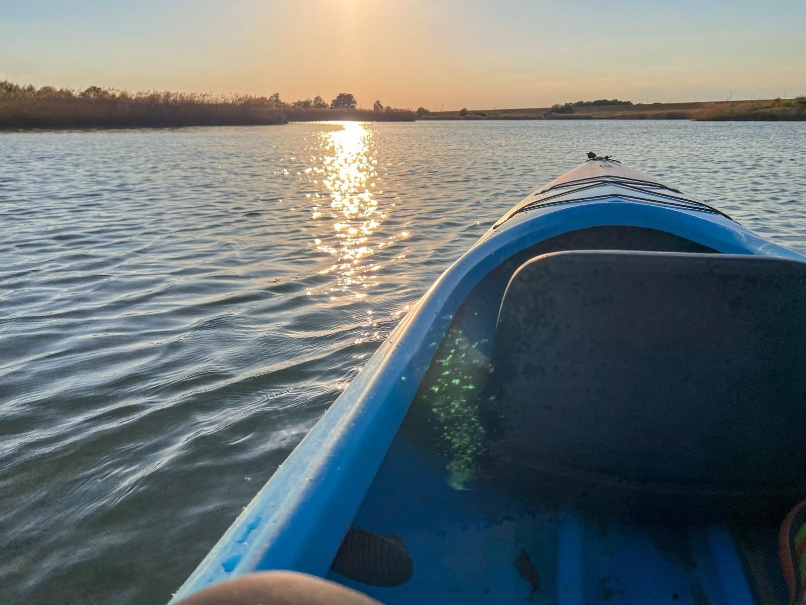 Zdjęcie w galerii na portalu naszraciborz.pl: Trwa monitoring przyrodniczy na zbiorniku Racibórz Dolny po wrześniowej powodzi wiadomości z regionu