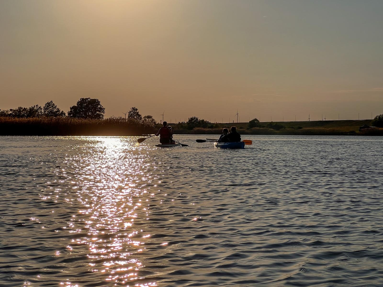 Zdjęcie w galerii na portalu naszraciborz.pl: Trwa monitoring przyrodniczy na zbiorniku Racibórz Dolny po wrześniowej powodzi wiadomości z regionu