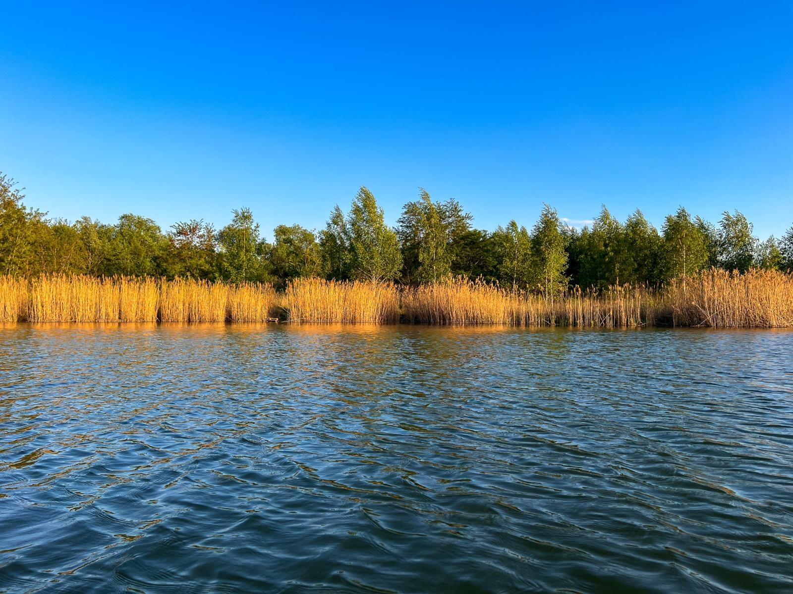Zdjęcie w galerii na portalu naszraciborz.pl: Trwa monitoring przyrodniczy na zbiorniku Racibórz Dolny po wrześniowej powodzi wiadomości z regionu